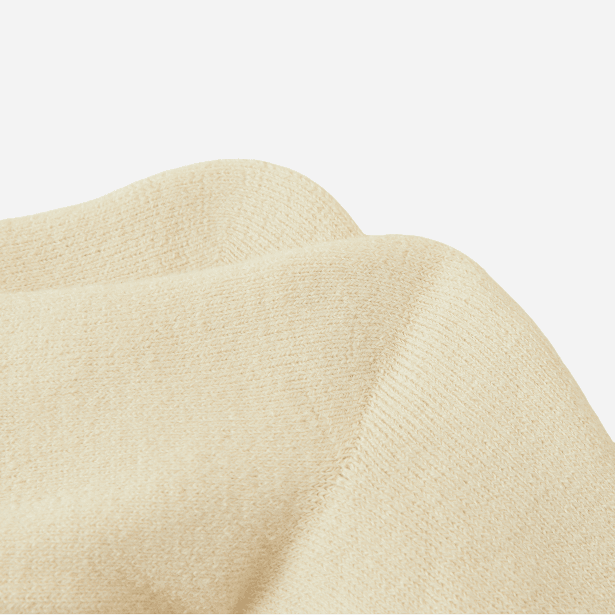 Women's Plush Sherpa Lined Slipper Socks - Single Pair