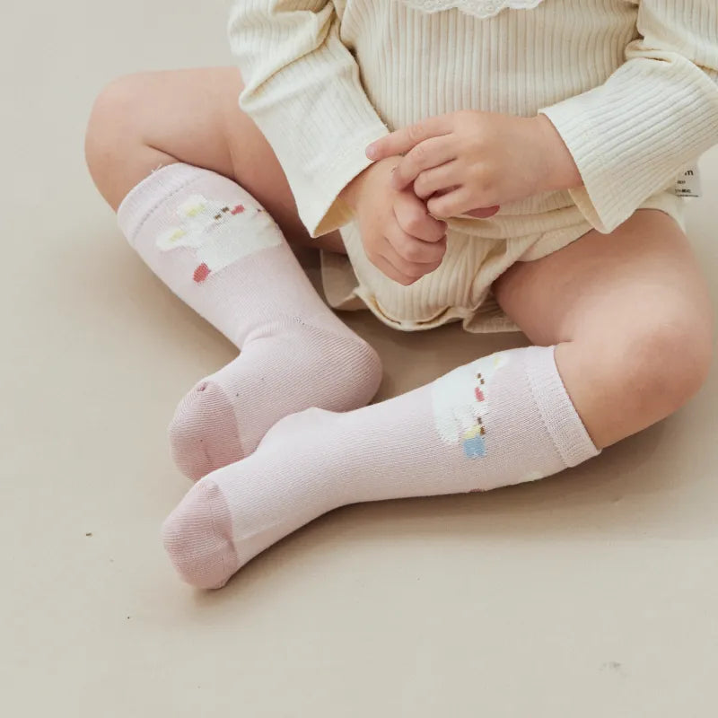 Babies The Spring Blossom Socks-5 Pairs