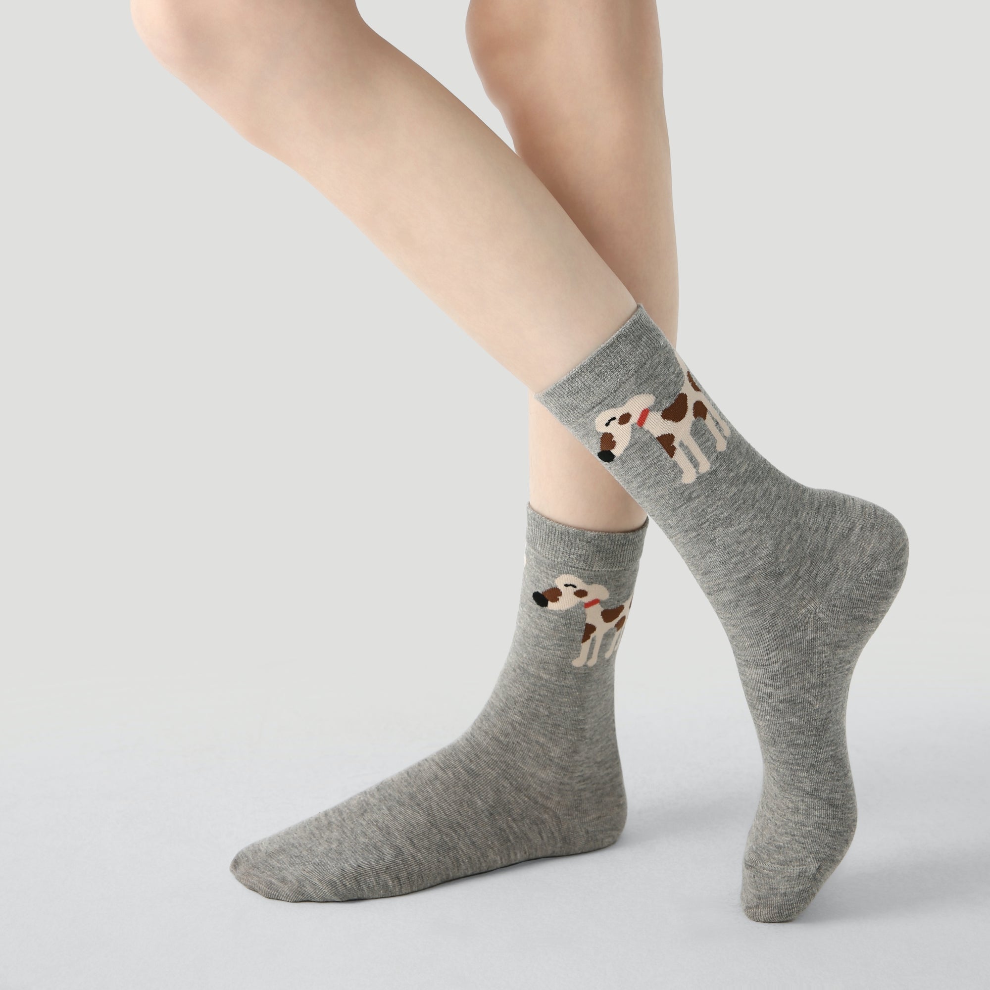 Women's Canine Cubism Pack-3 Pack
