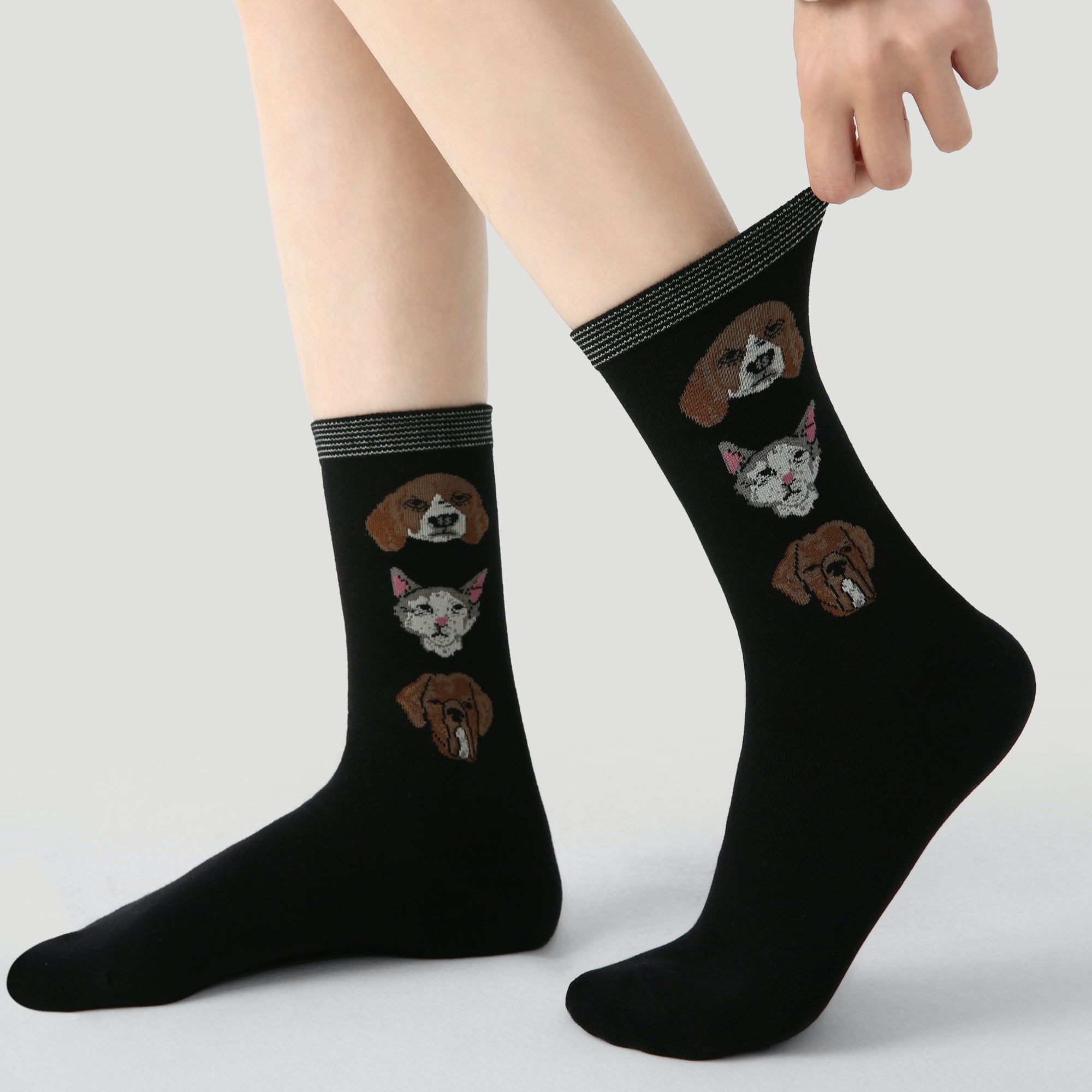 Women's Canine Cubism Pack-3 Pack