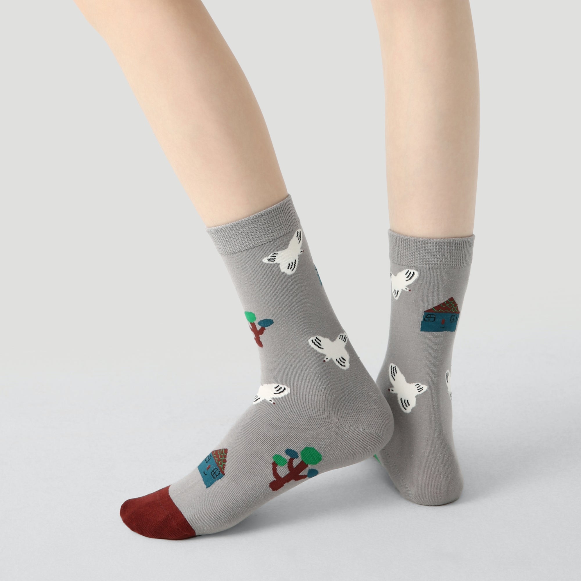 Women's Modernist Moodboard-3 Pack