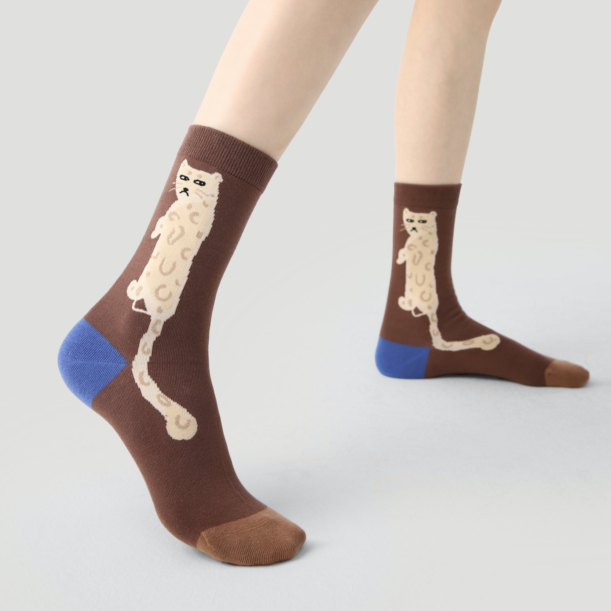 Women's Canine Cubism Pack-3 Pack