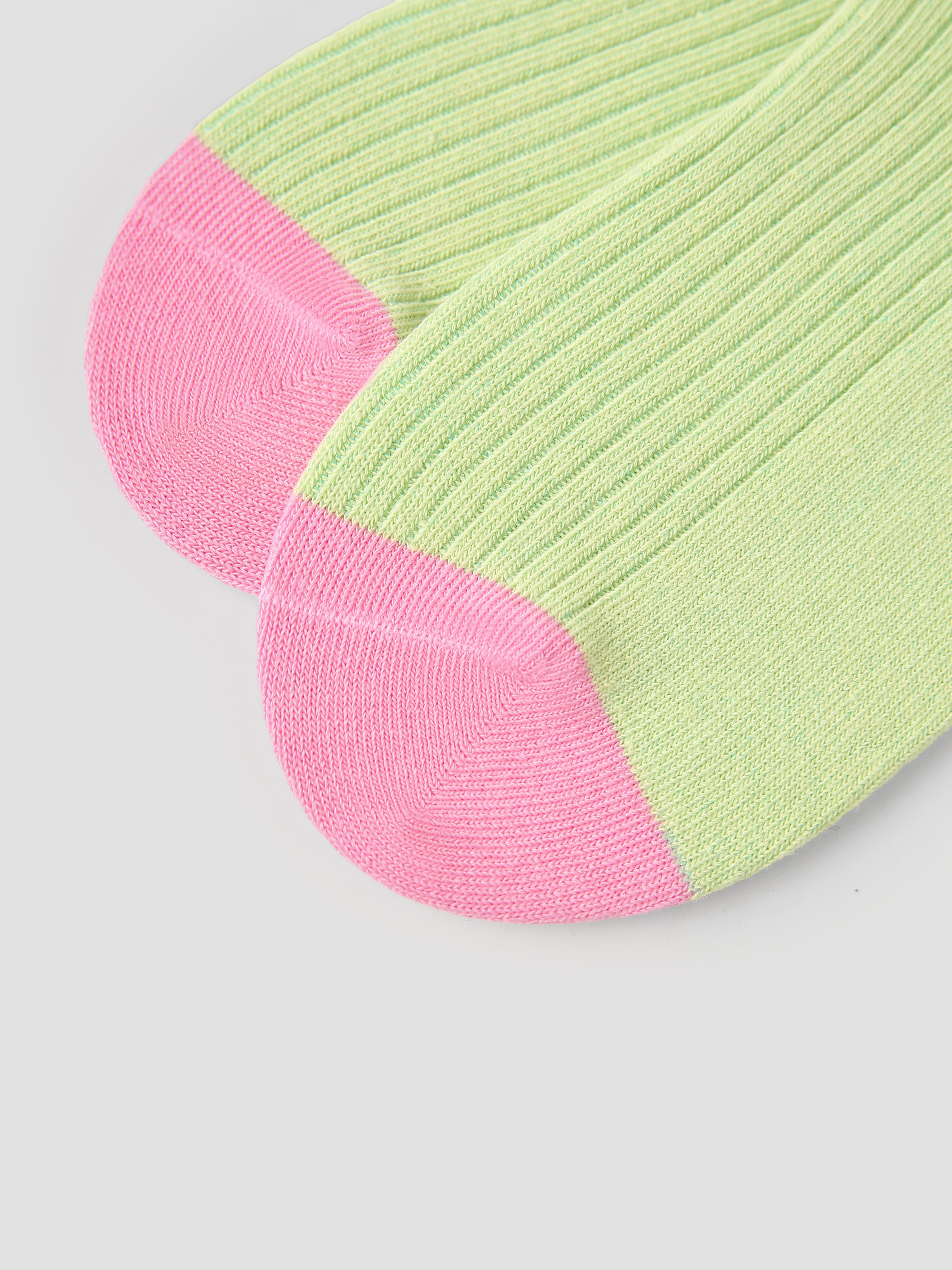 Women's Tropical Sorbet-3 Pack
