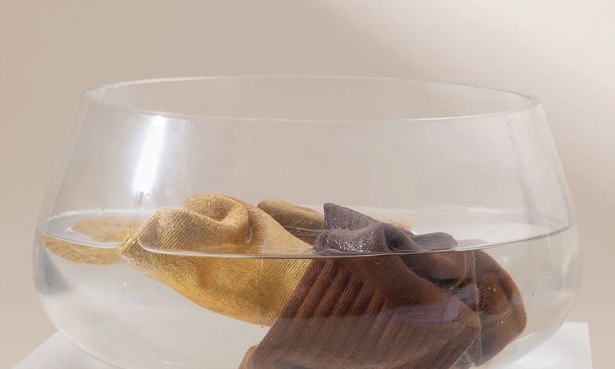 Pure Color, Pure Heart: The Art of Plant-Based Dyeing