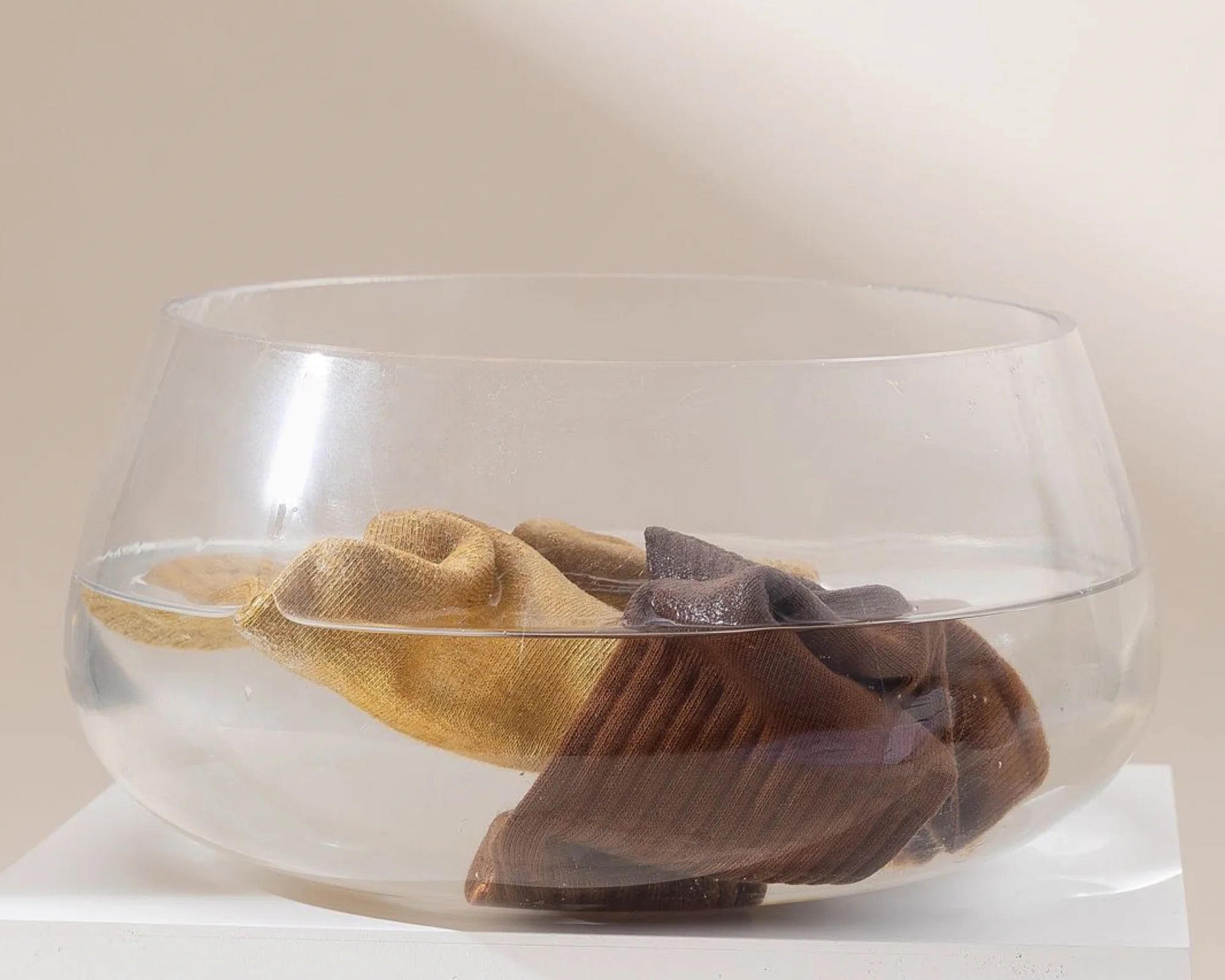 Pure Color, Pure Heart: The Art of Plant-Based Dyeing