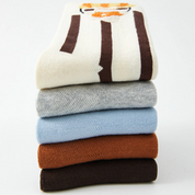 Kid‘s Winter Story 3D Lion & Scarf Cotton Socks (5-Pack)