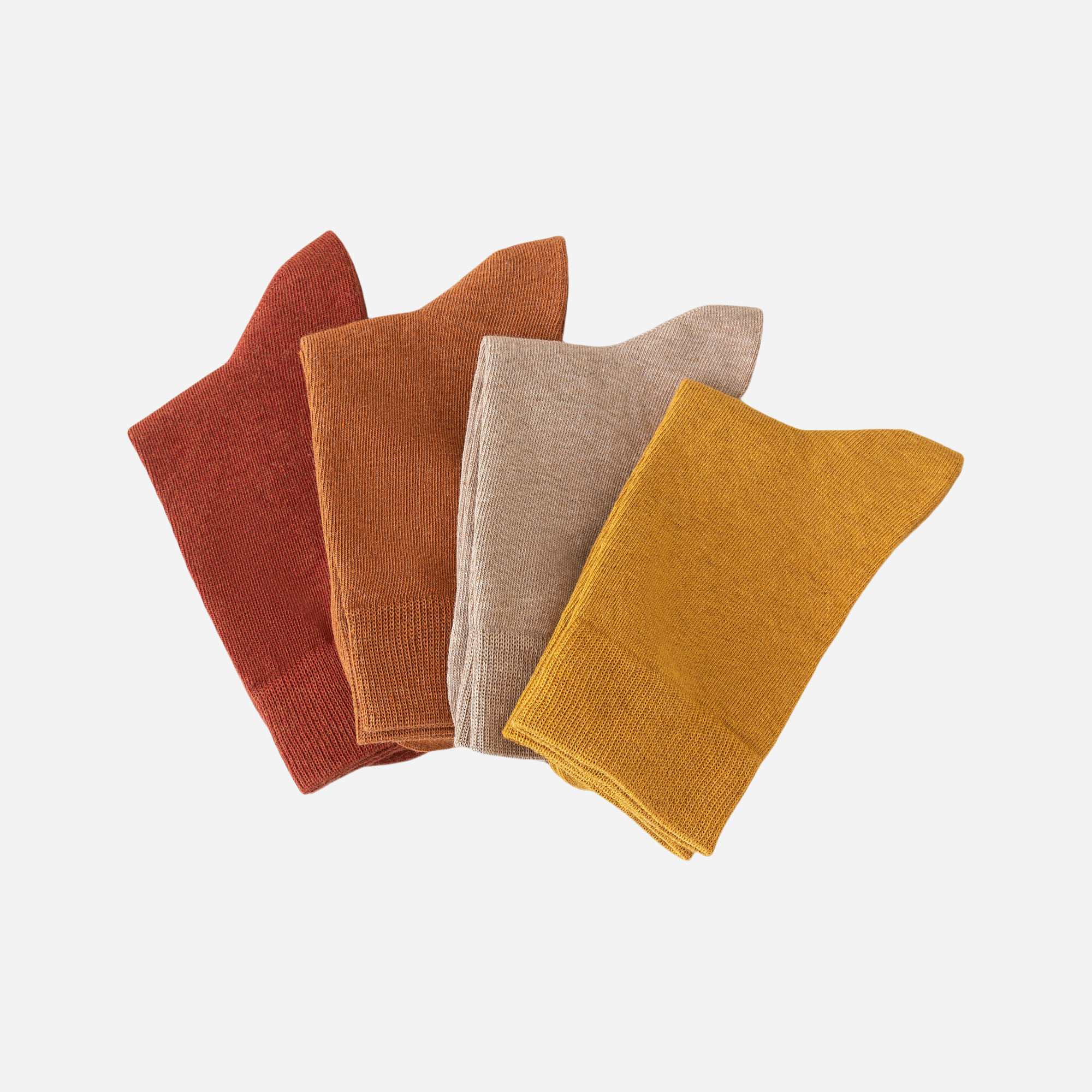 Women's Spectrum Crew Socks-5 Pack