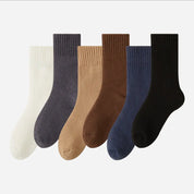Men's Fireside Plush-Lined Socks