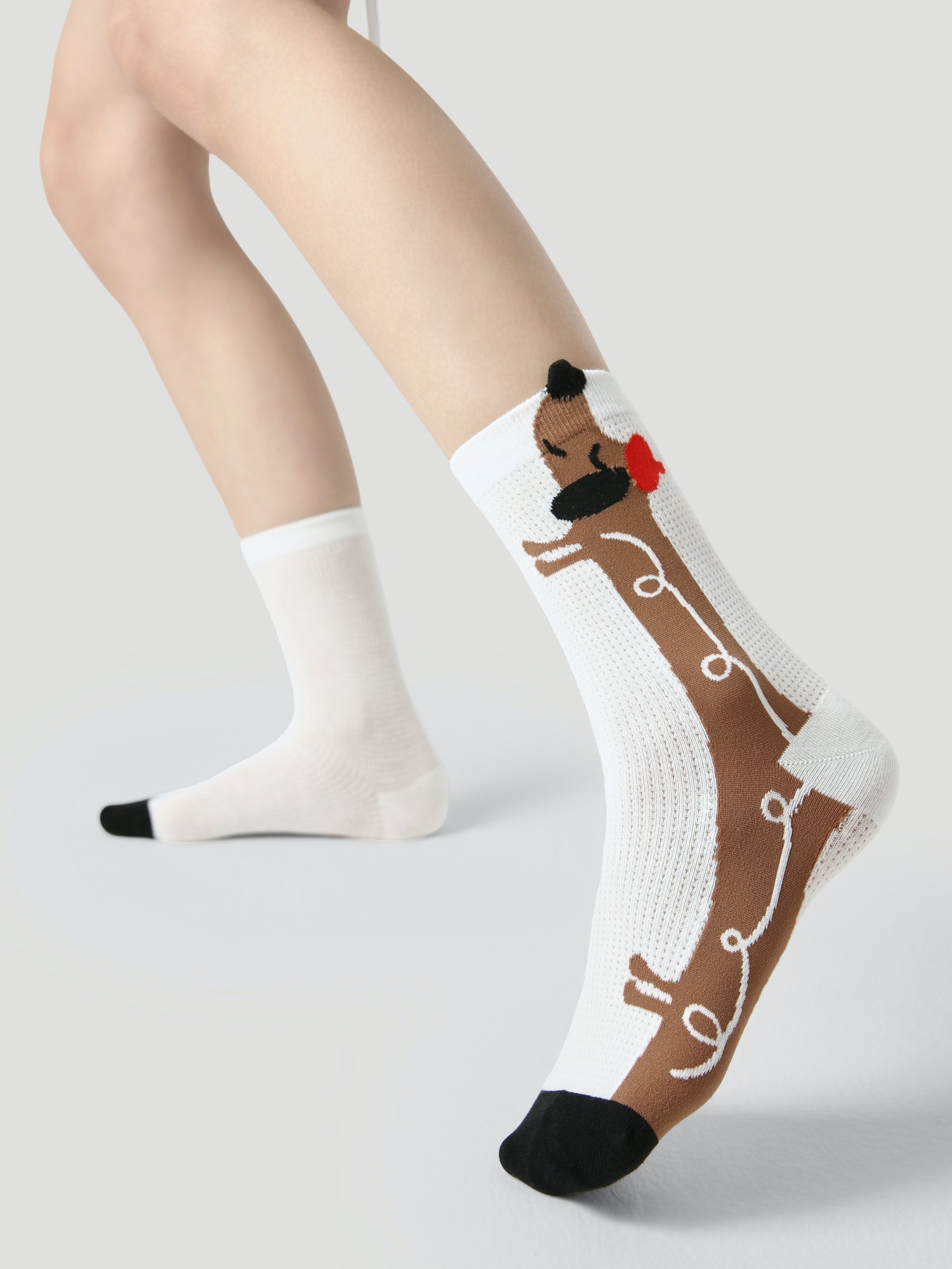 Women's Long Dog Log-3 Pack