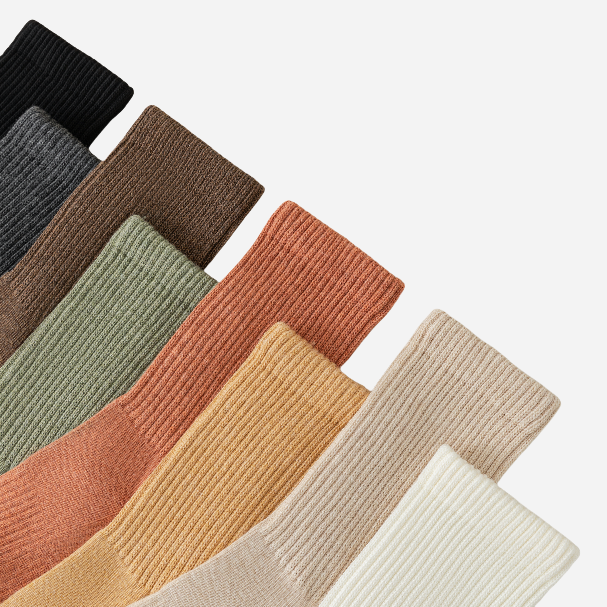 Women's Plush Terry Crew Socks-5 Pack