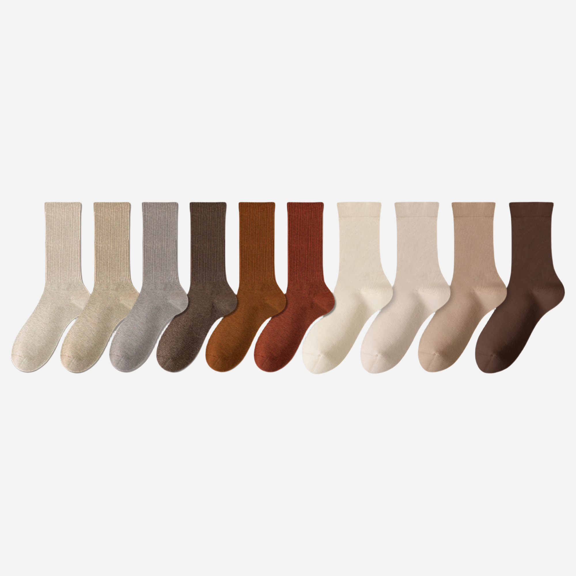 Women's The Modern Staples Socks-5 Pack