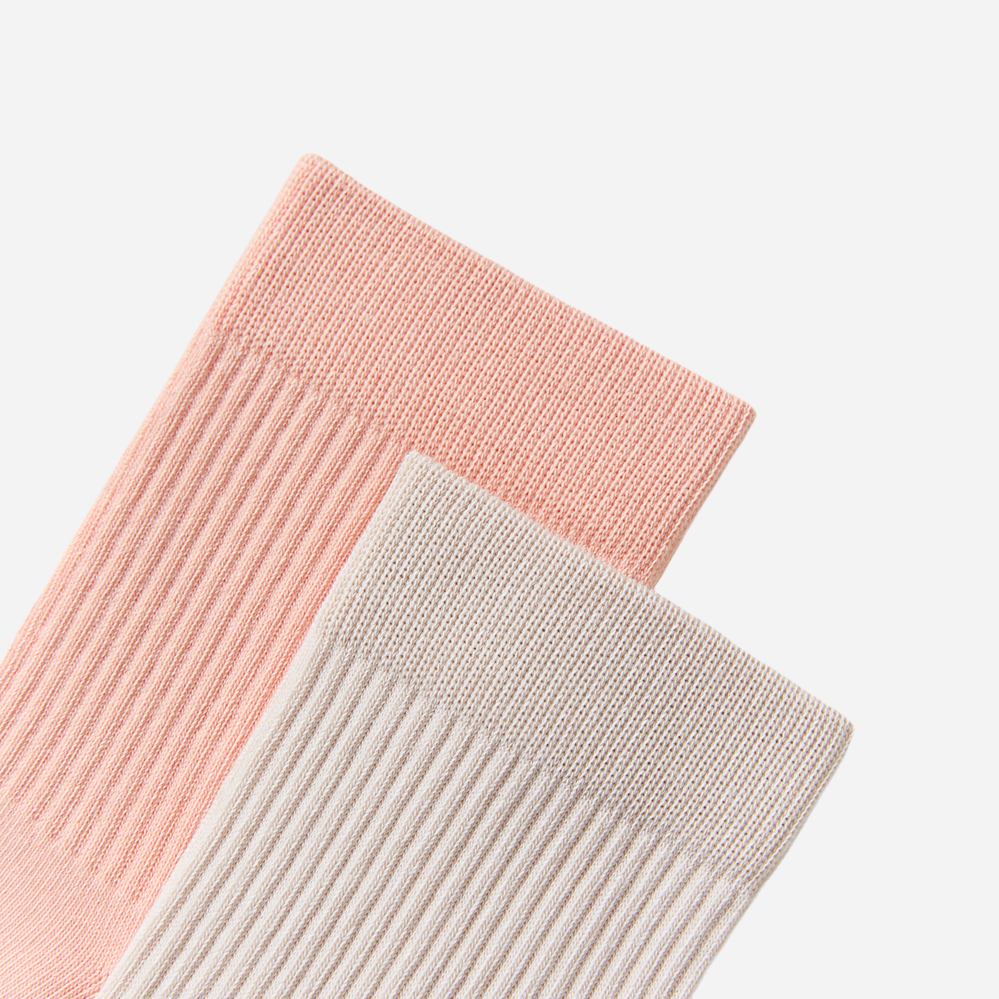 Women's Fresh Rib Crew Socks-5 Pack