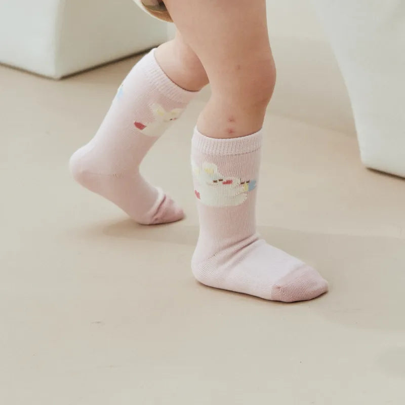 Babies The Spring Blossom Socks-5 Pairs
