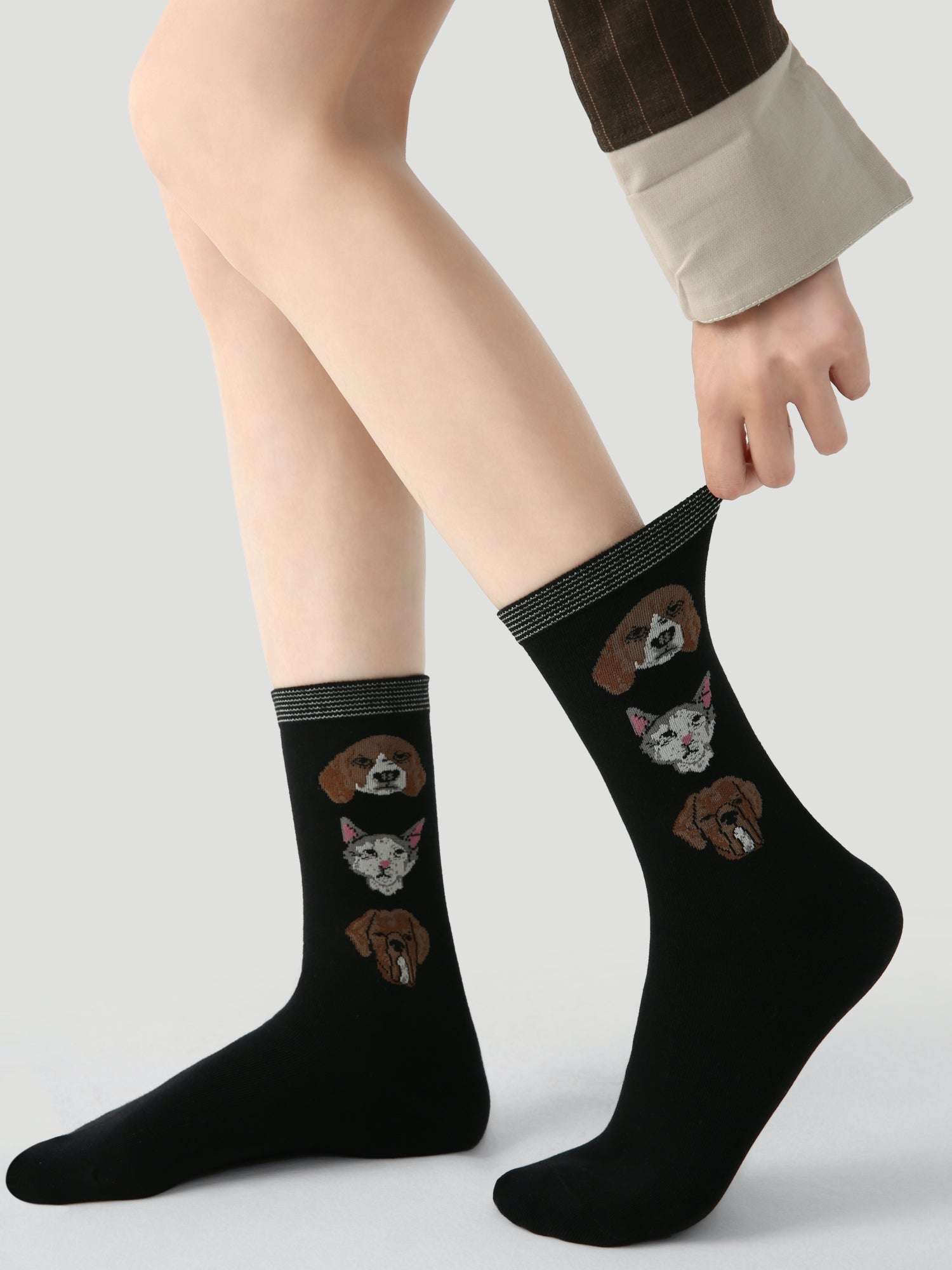 Women's Canine Cubism Pack-3 Pack