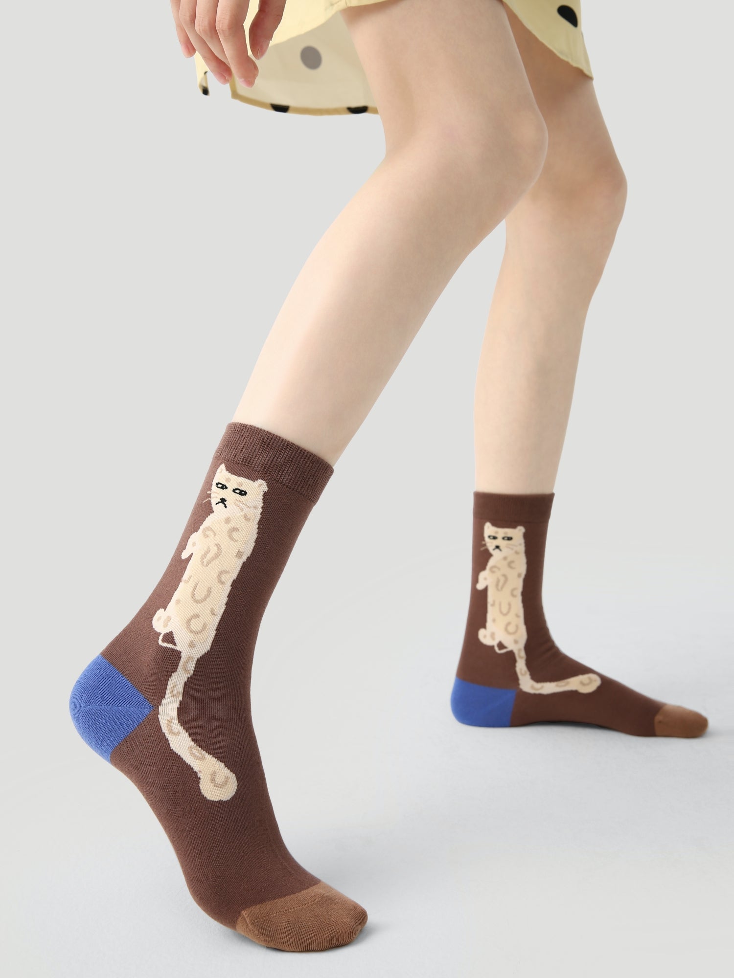 Women's Canine Cubism Pack-3 Pack