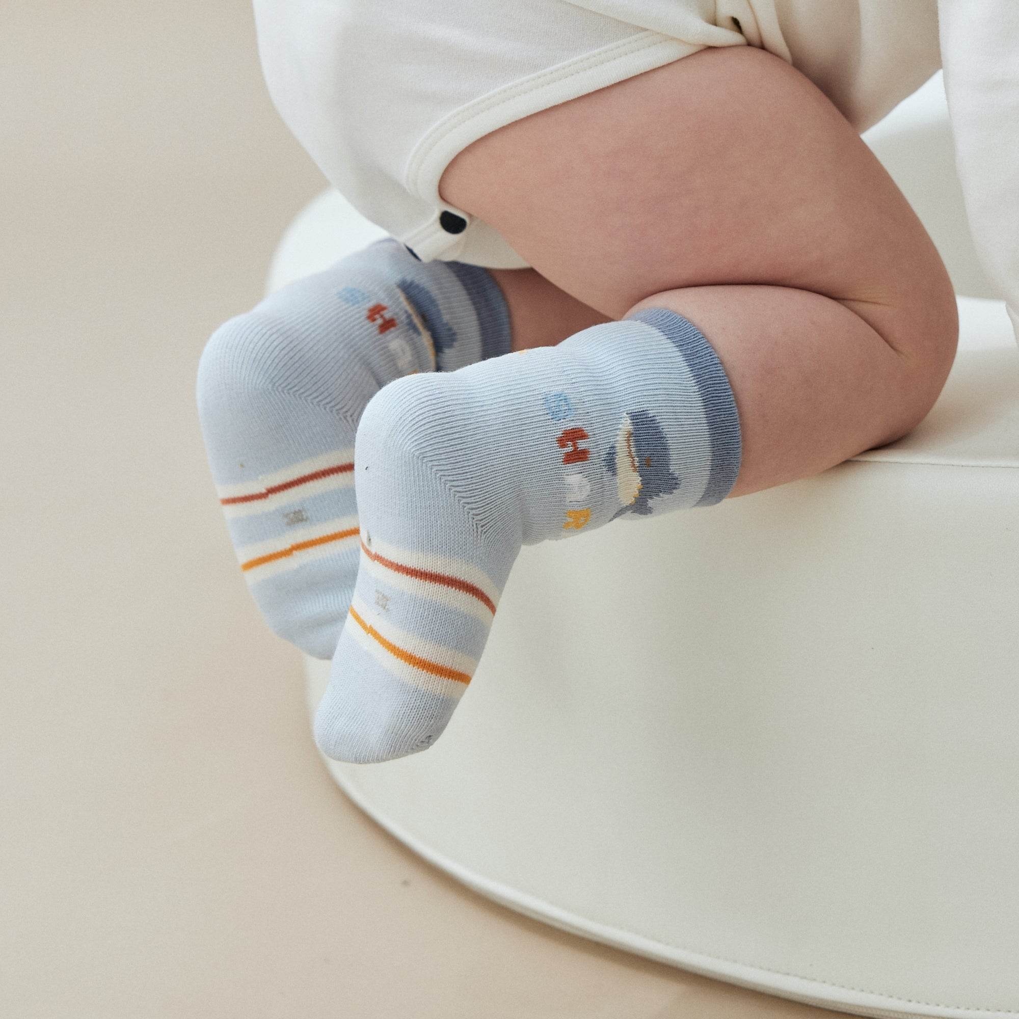 Babies The Little Shark Week Socks-4 pack - Weavasocks