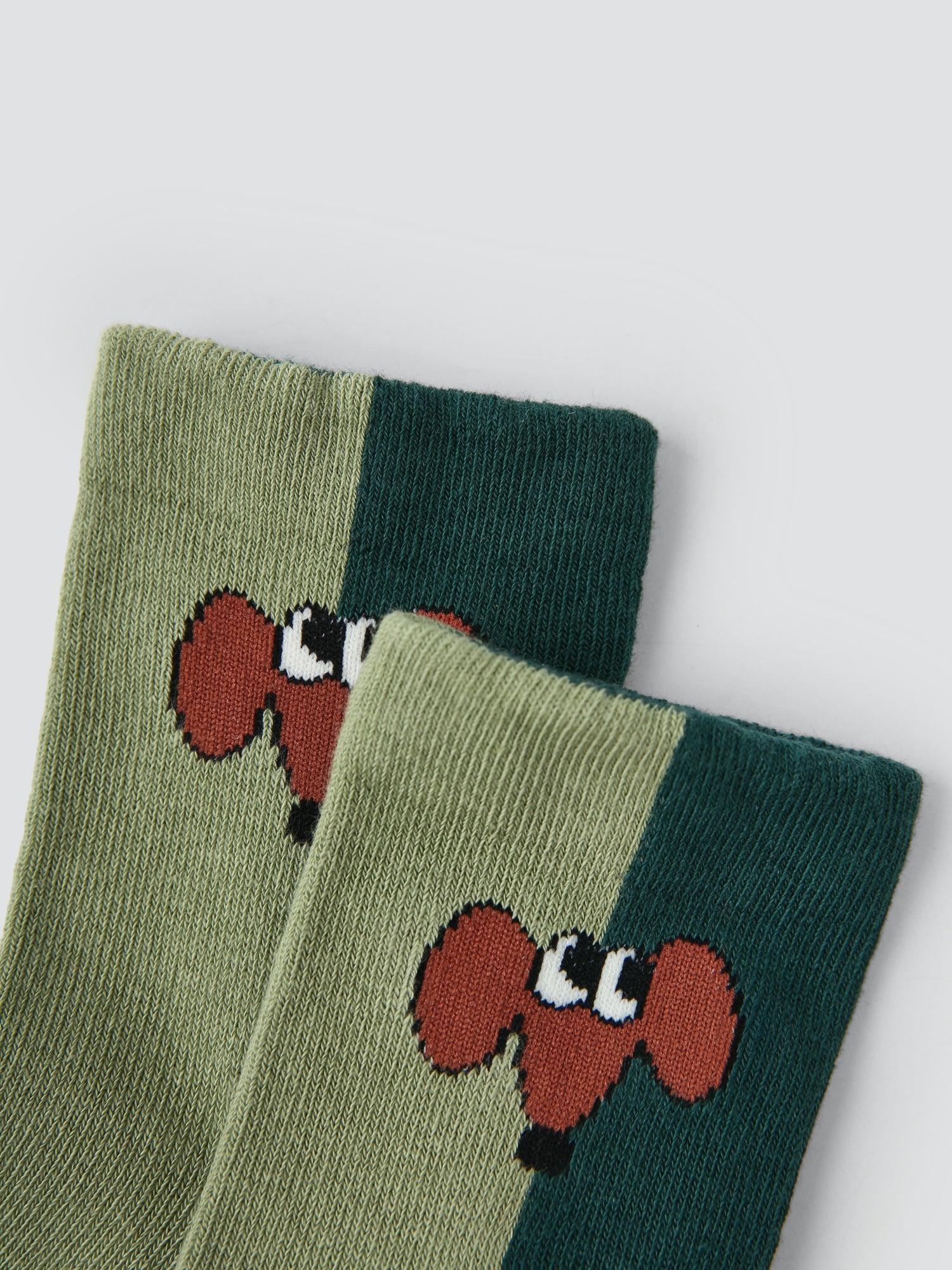 Kids' Woodland Wanderers-5 Pack