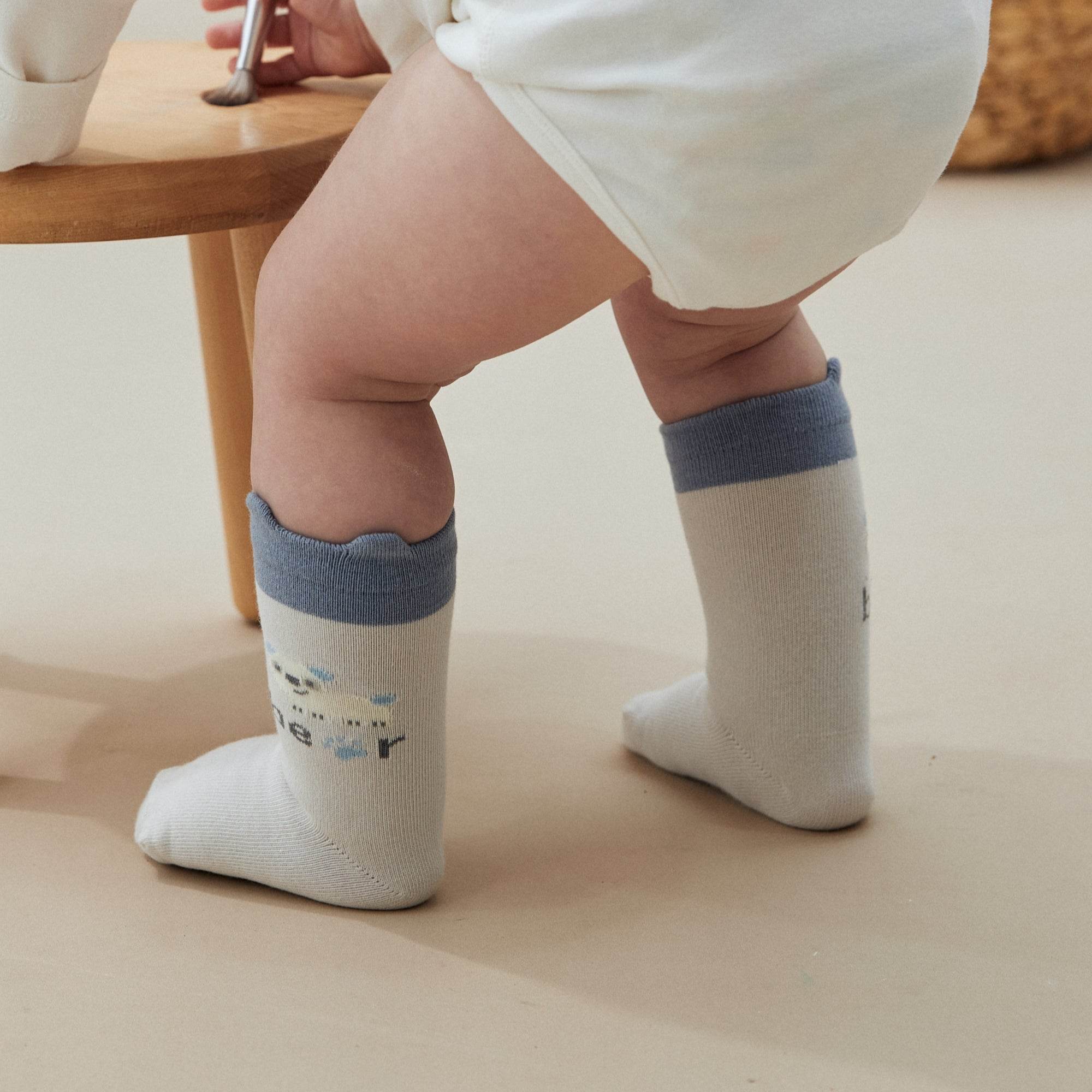 Babies Panda Pals Socks-5 Pack - Weavasocks