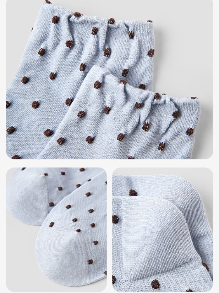 Women's Celadon Haze-3 Pack