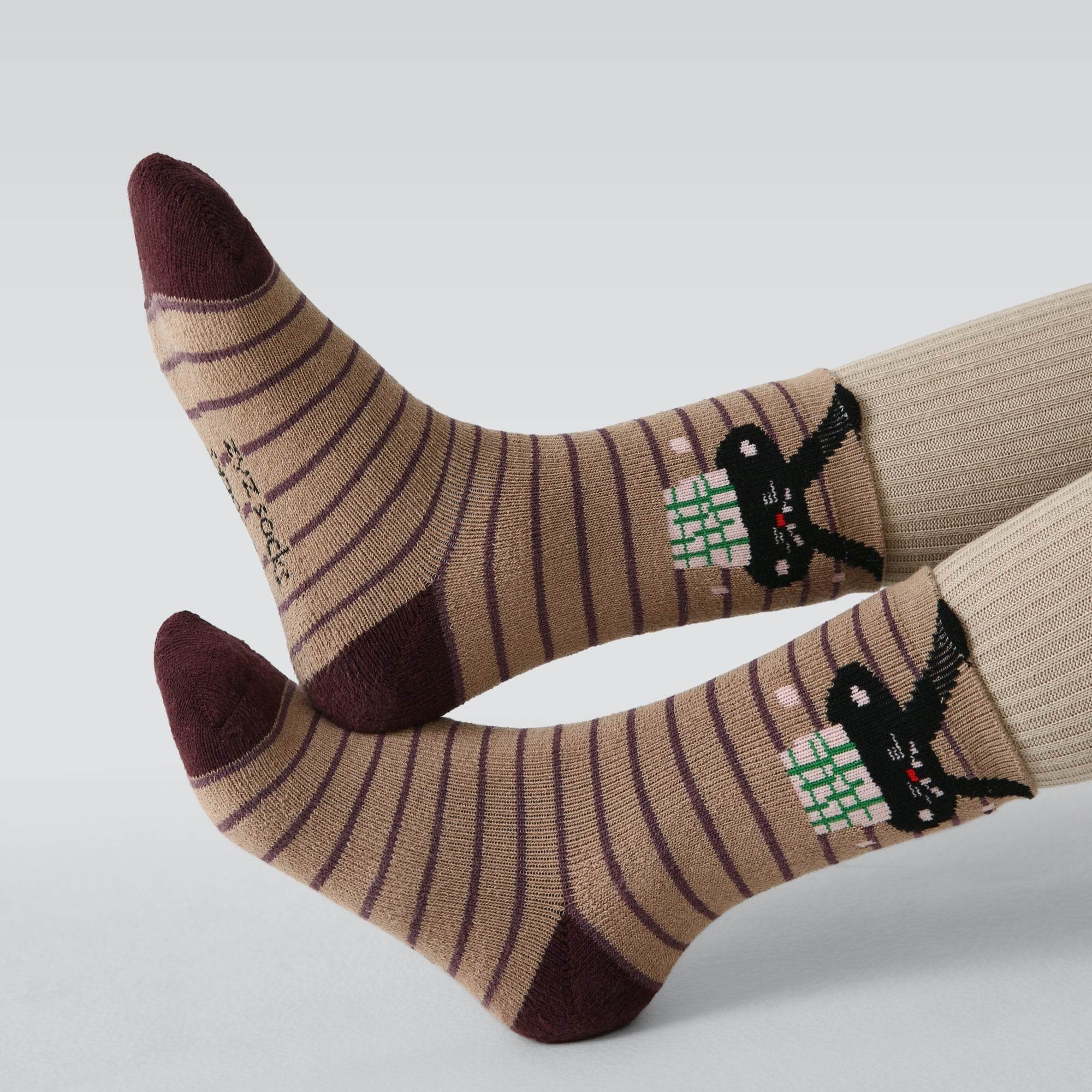 Kid's The Curious Characters Socks-5 pack - Weavasocks