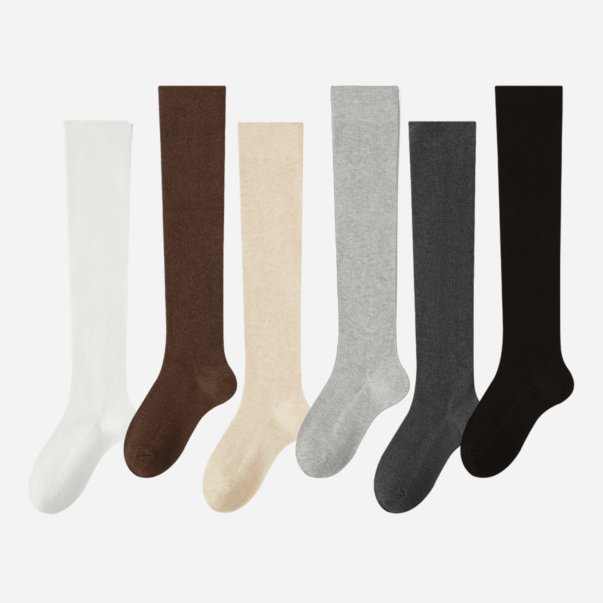 Women's Classic Ribbed Knee-High Socks - Single Pair