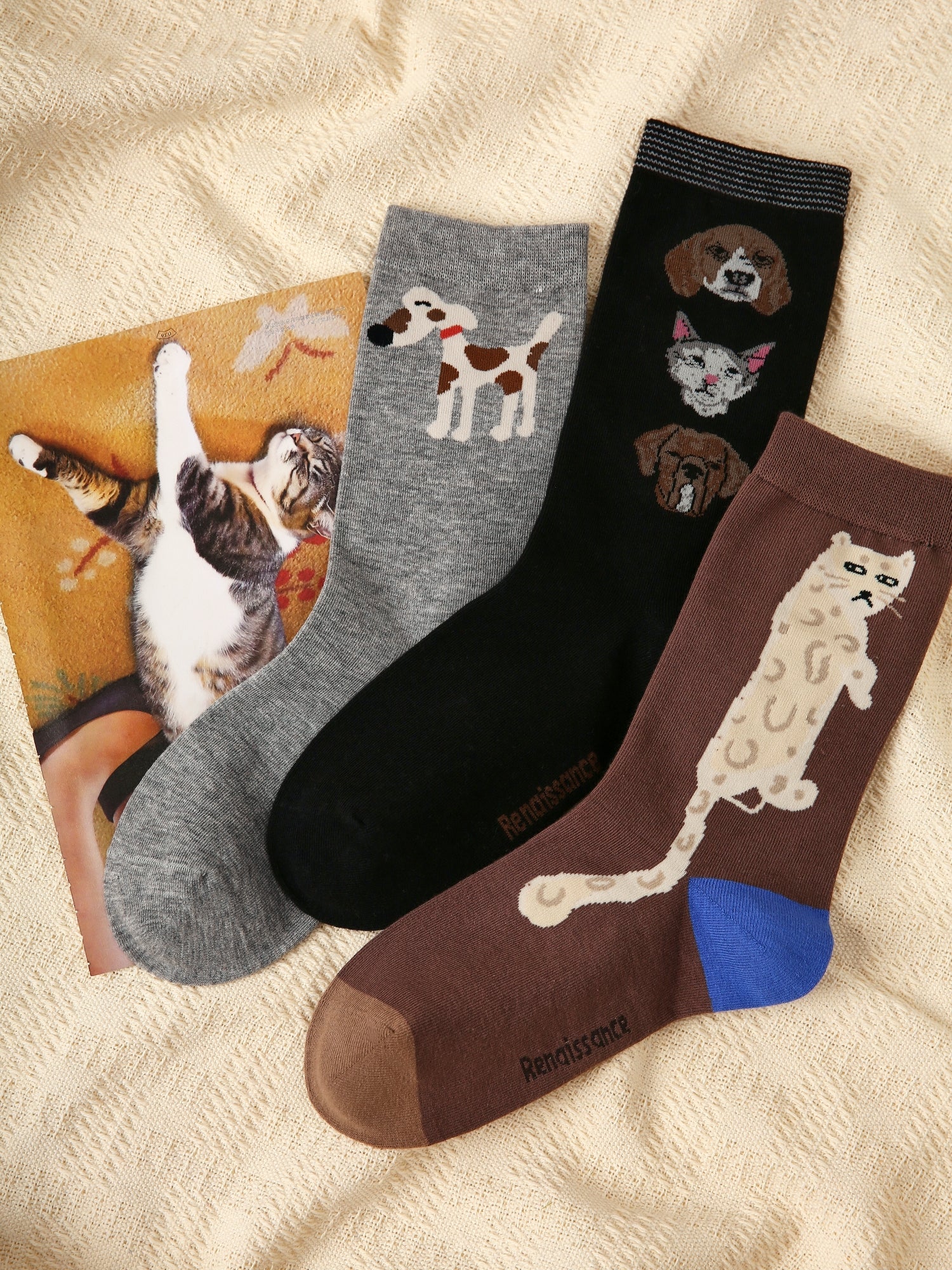 Women's Canine Cubism Pack-3 Pack