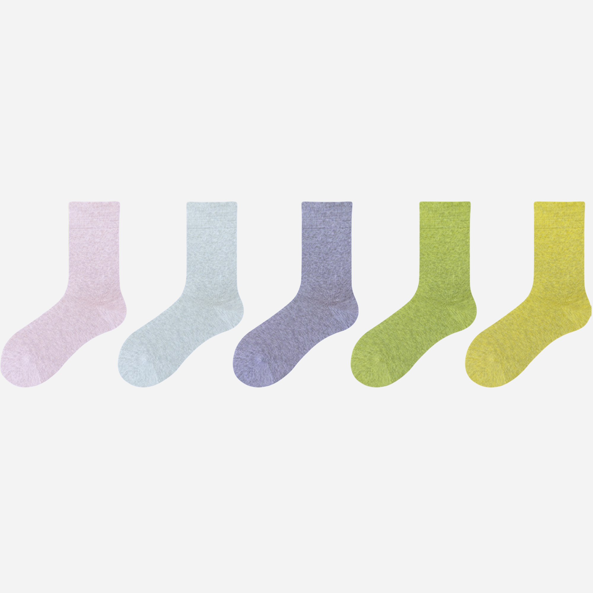 Women's Spectrum Crew Socks-5 Pack