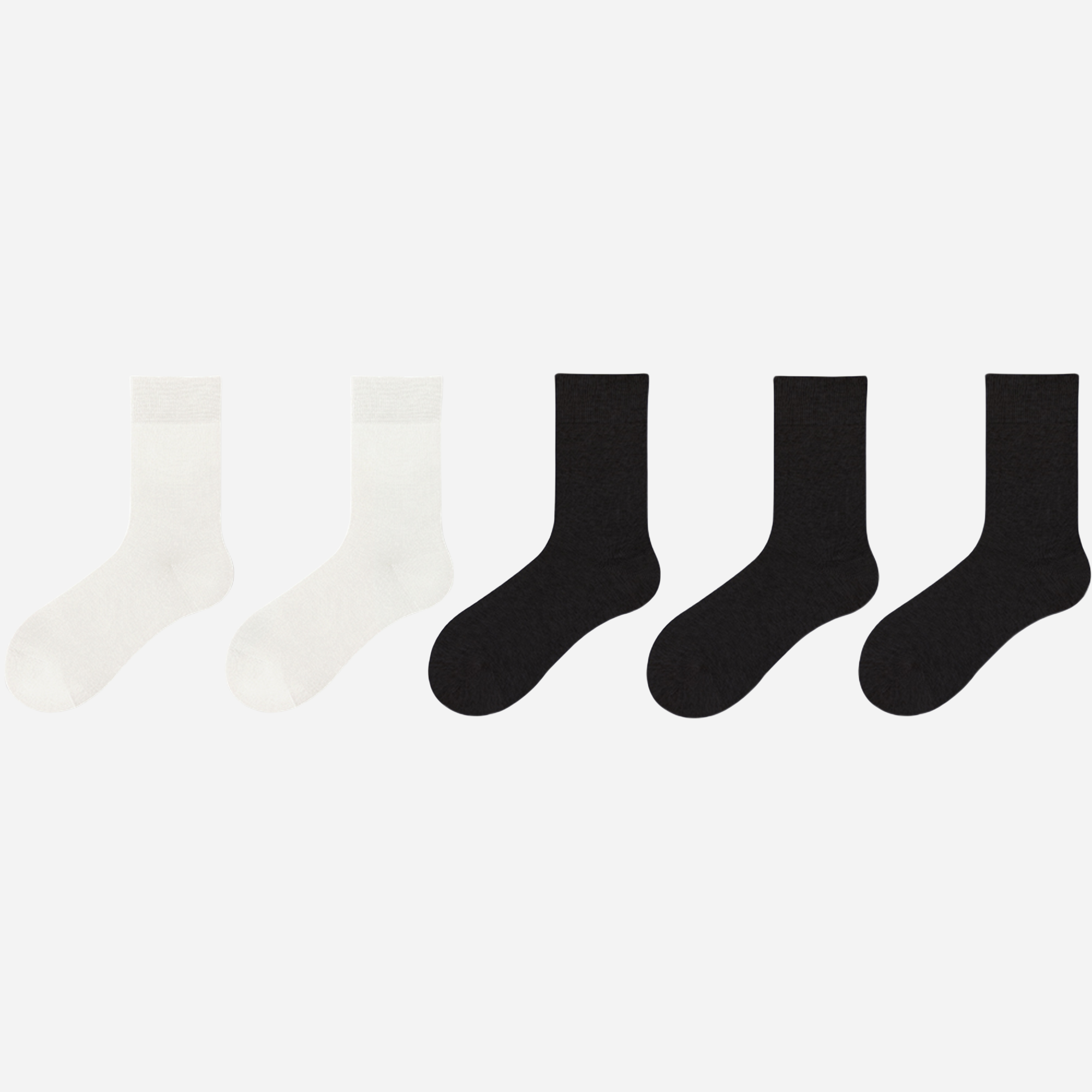 Women's Spectrum Crew Socks-5 Pack