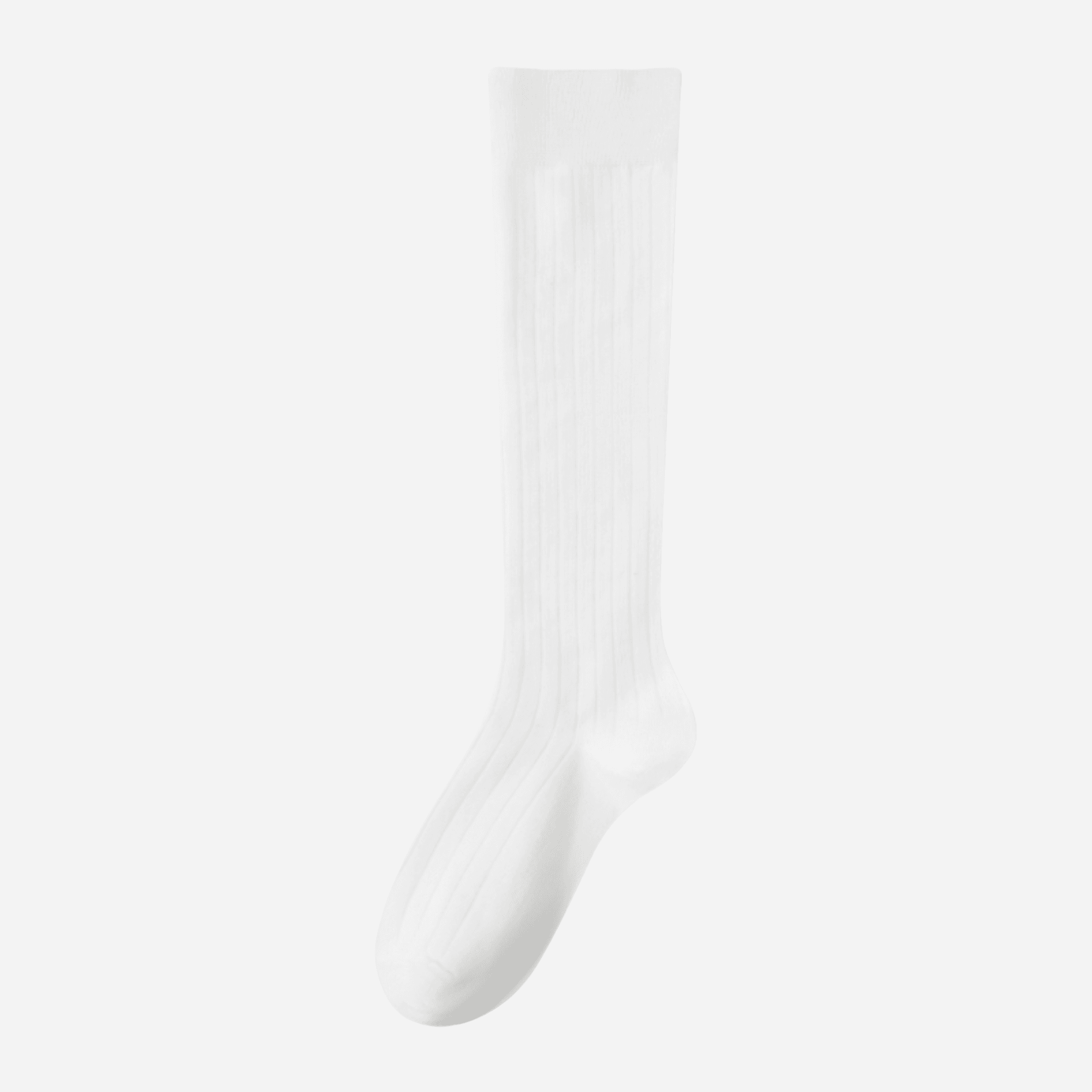Women's Classic Ribbed Knee-High Socks - Single Pair