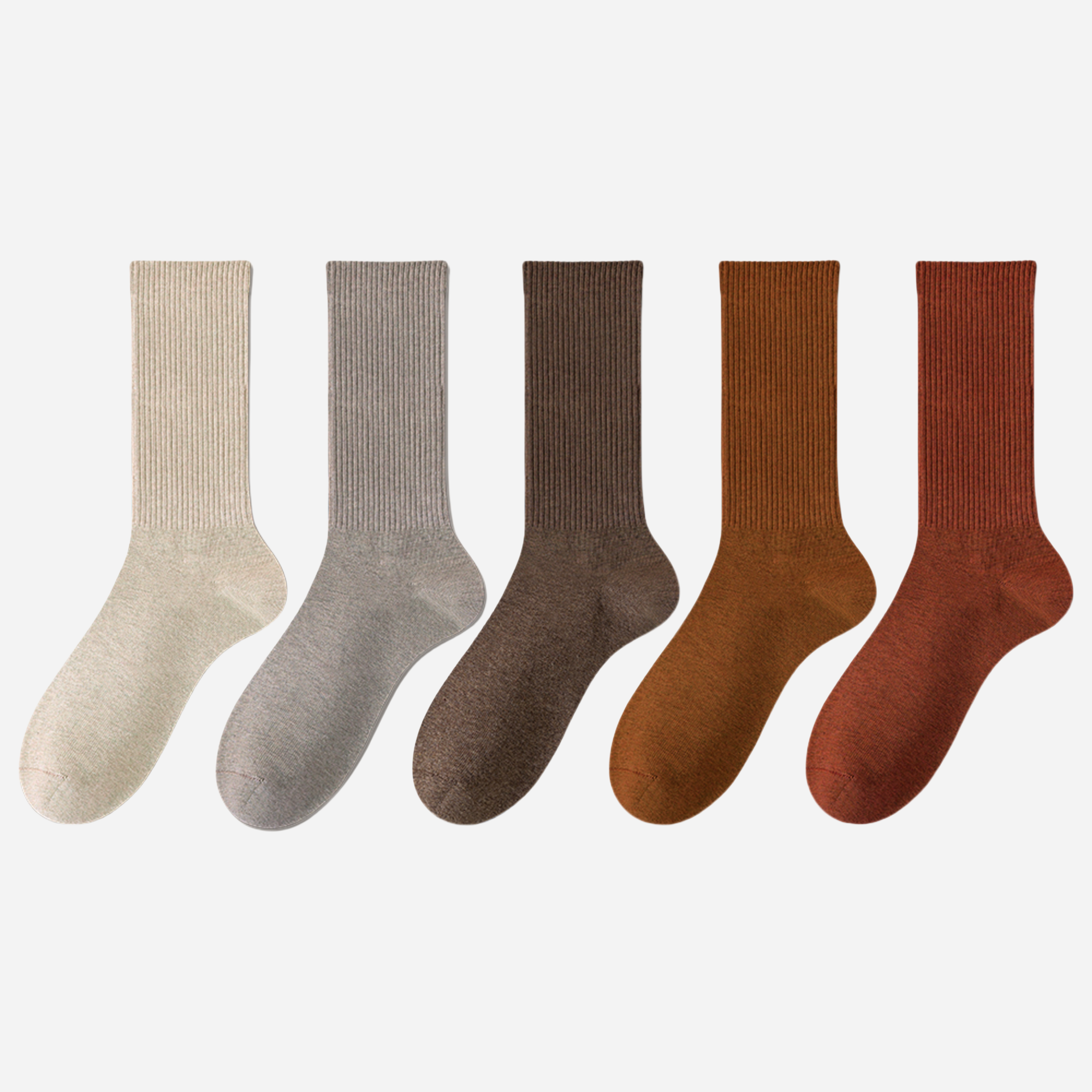 Women's The Modern Staples Socks-5 Pack