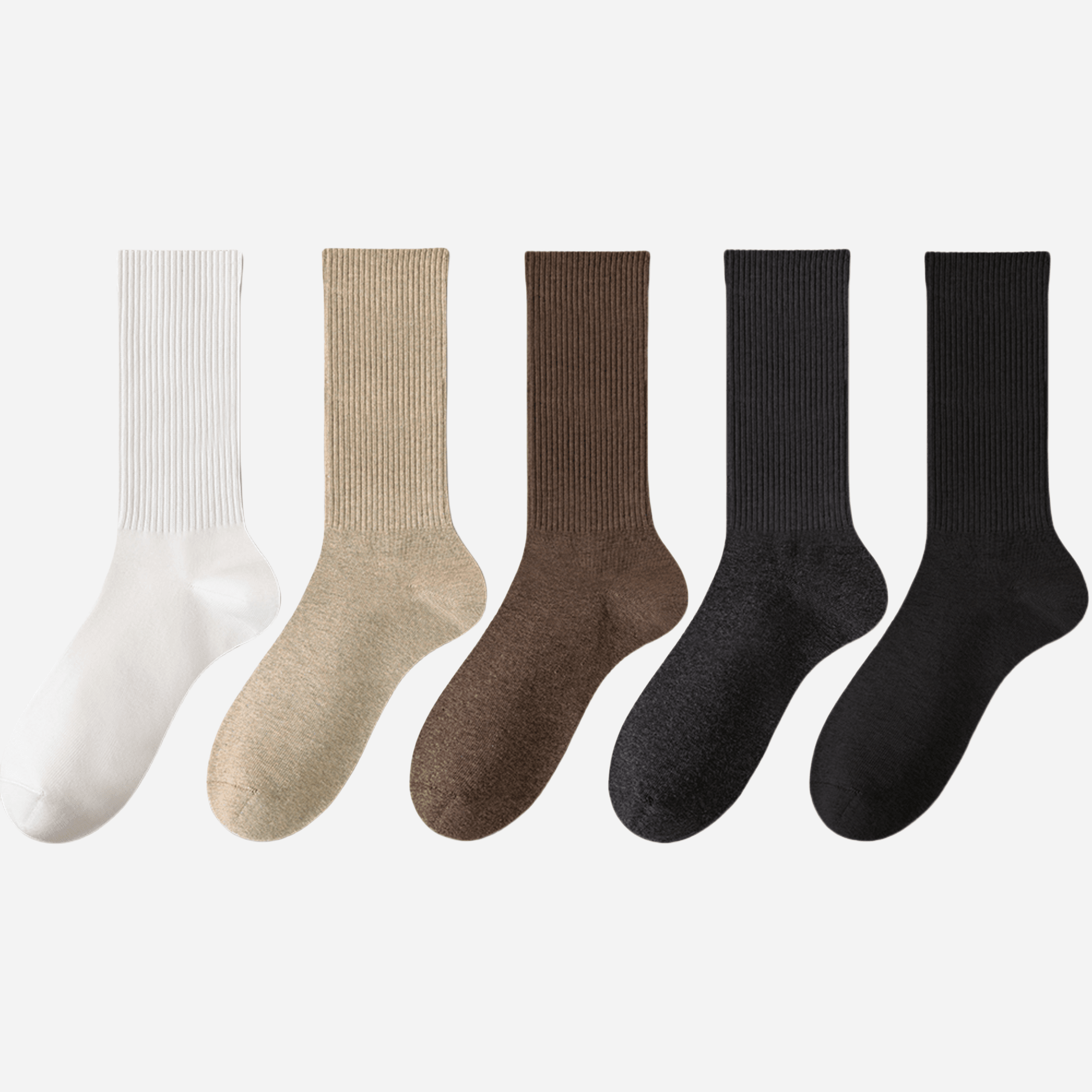Women's Classic Cotton Ribbed Socks - 5 pairs