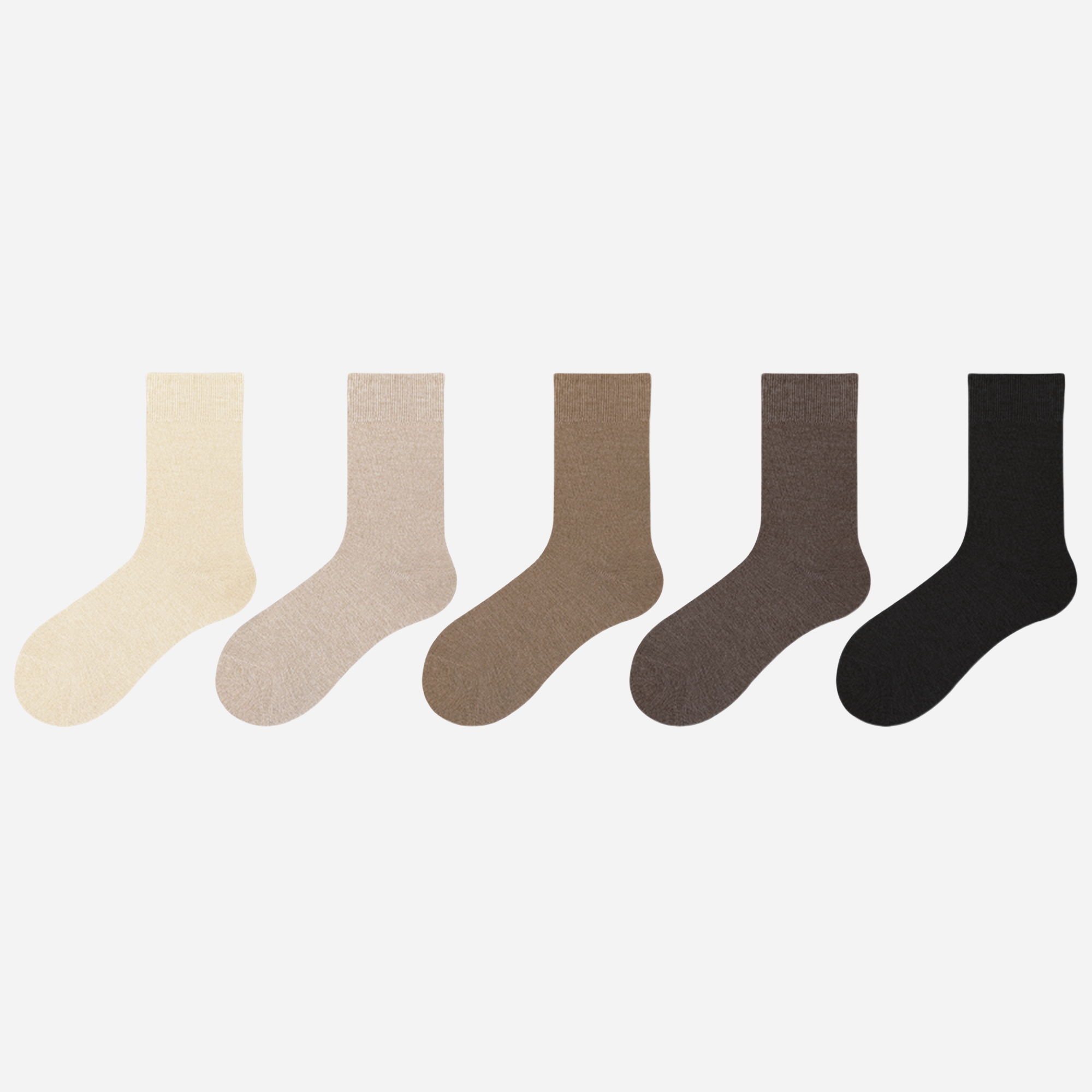 Women's The Modern Cotton Socks-5 Pack