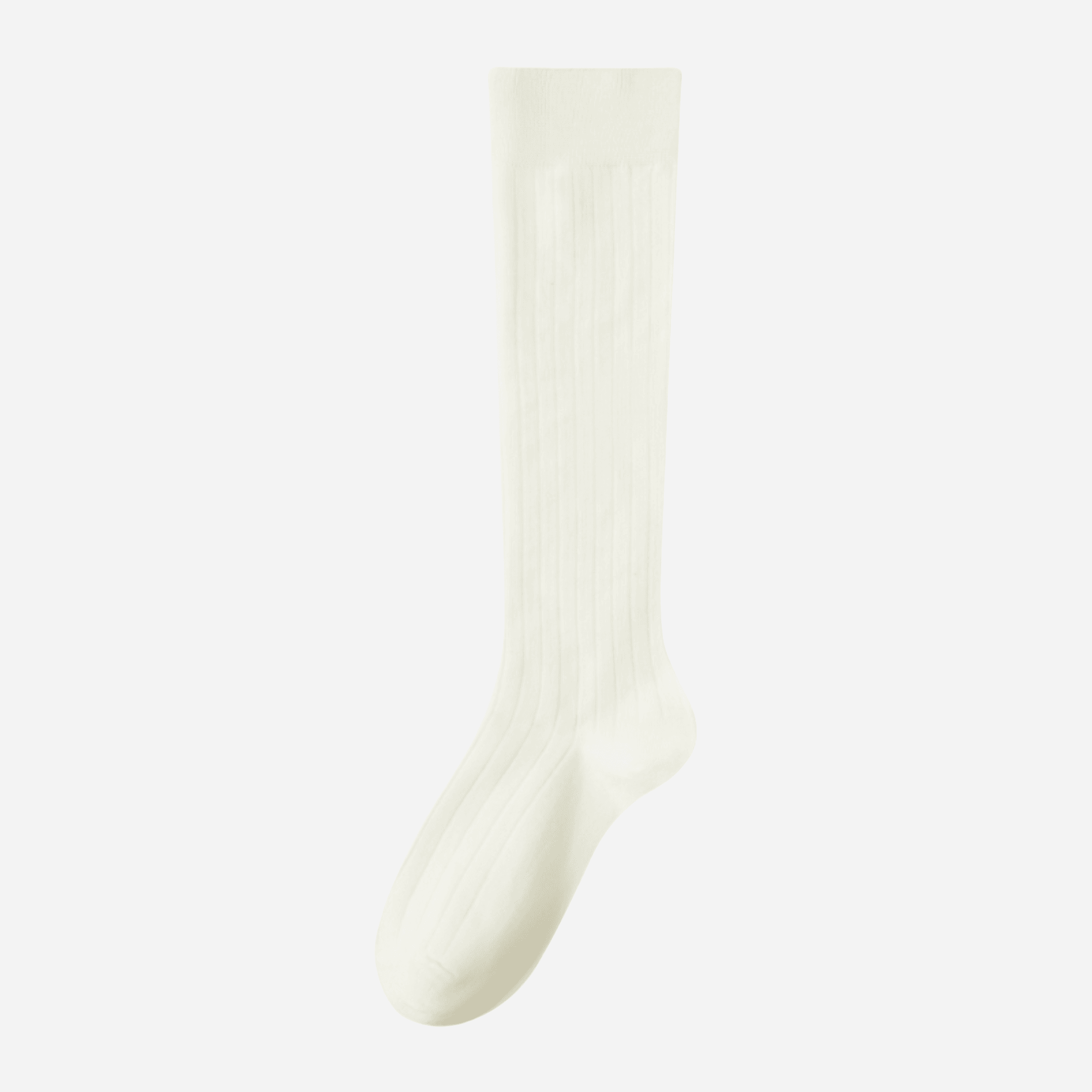 Women's Classic Ribbed Knee-High Socks - Single Pair