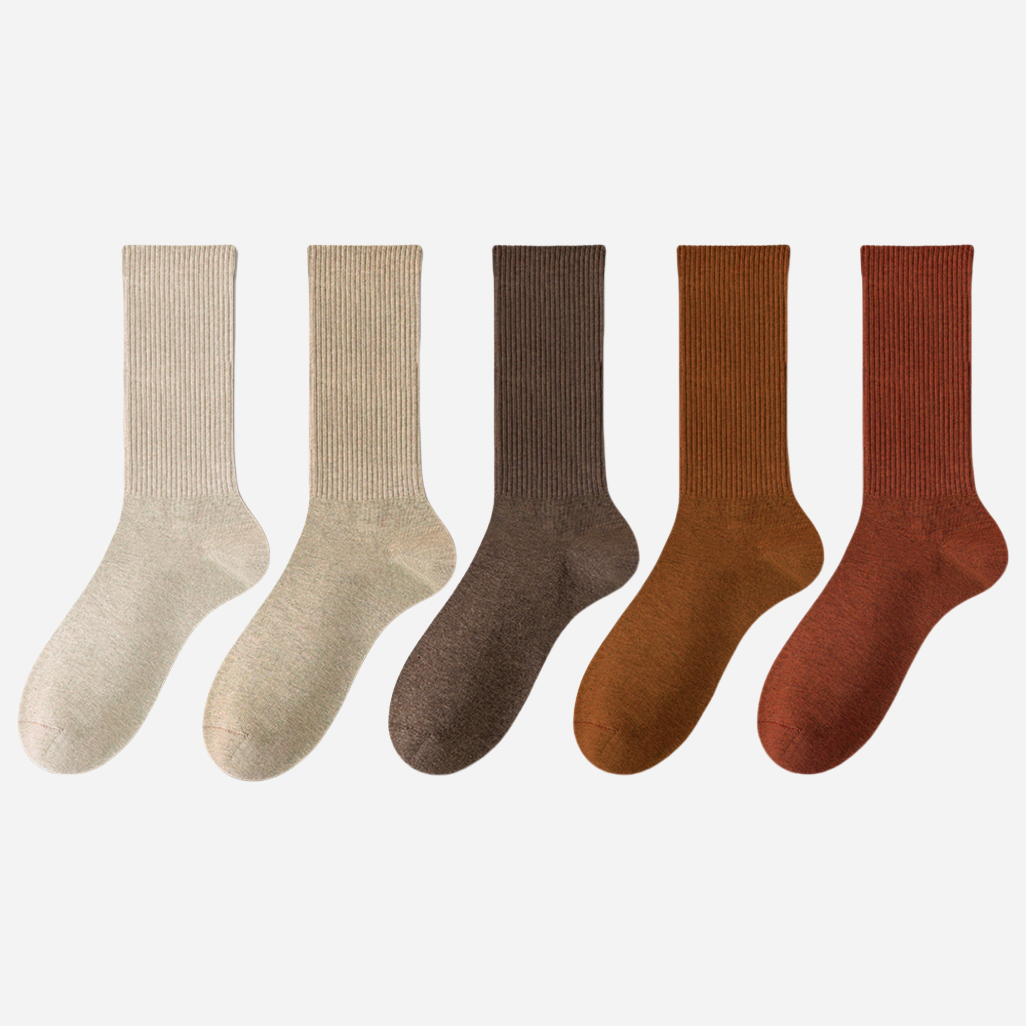 Women's The Modern Staples Socks-5 Pack