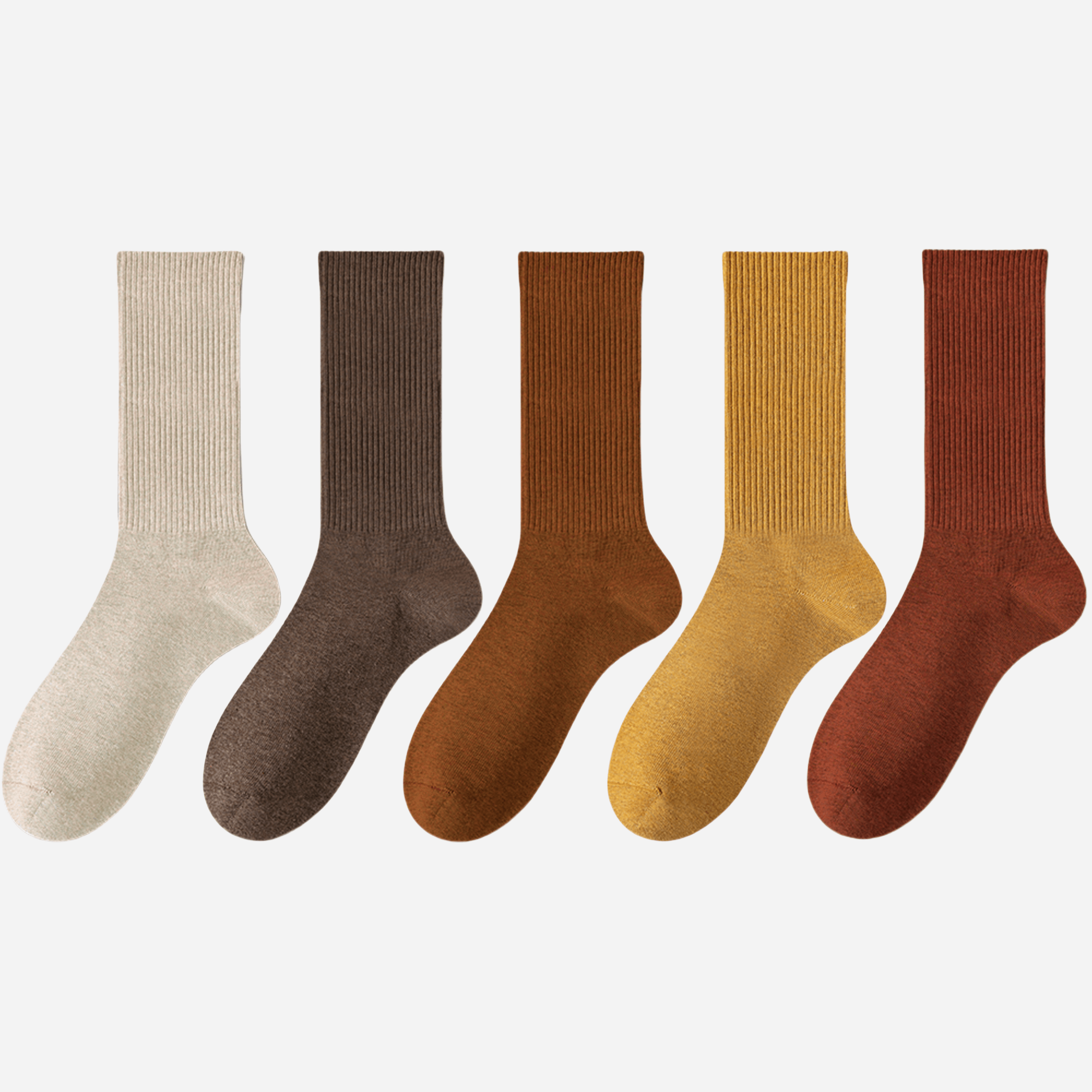 Women's Classic Cotton Ribbed Socks - 5 pairs