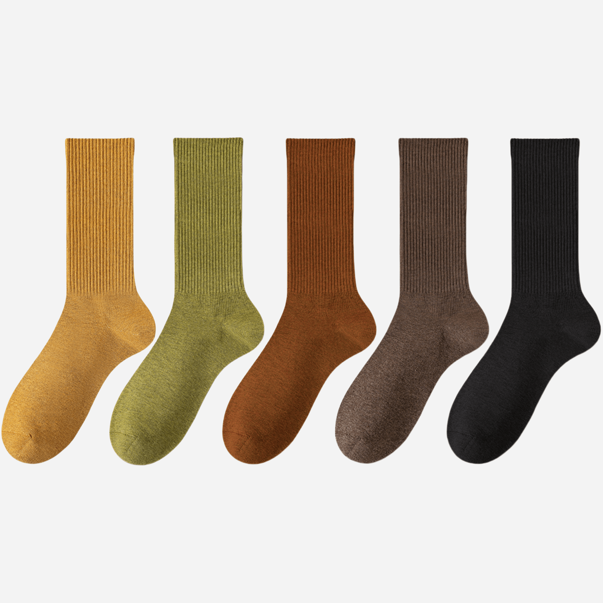 Women's Classic Cotton Ribbed Socks - 5 pairs