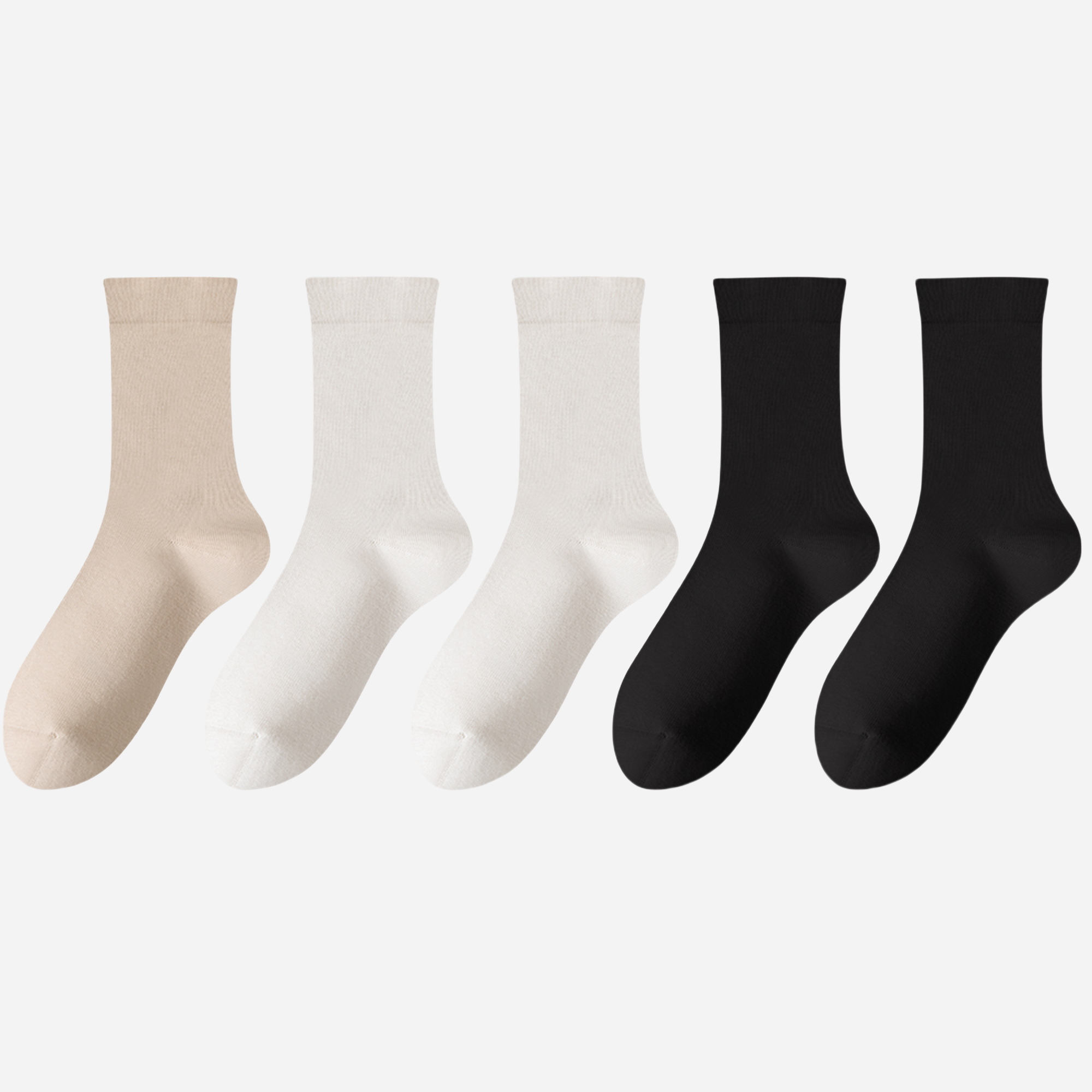 Women's The Perfect Palette Crew-5 Pack