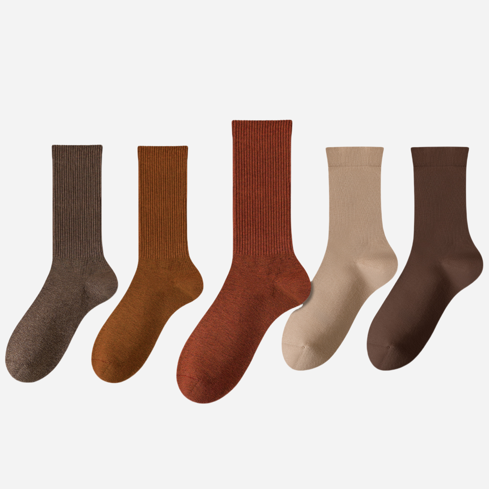 Women's The Modern Staples Socks-5 Pack