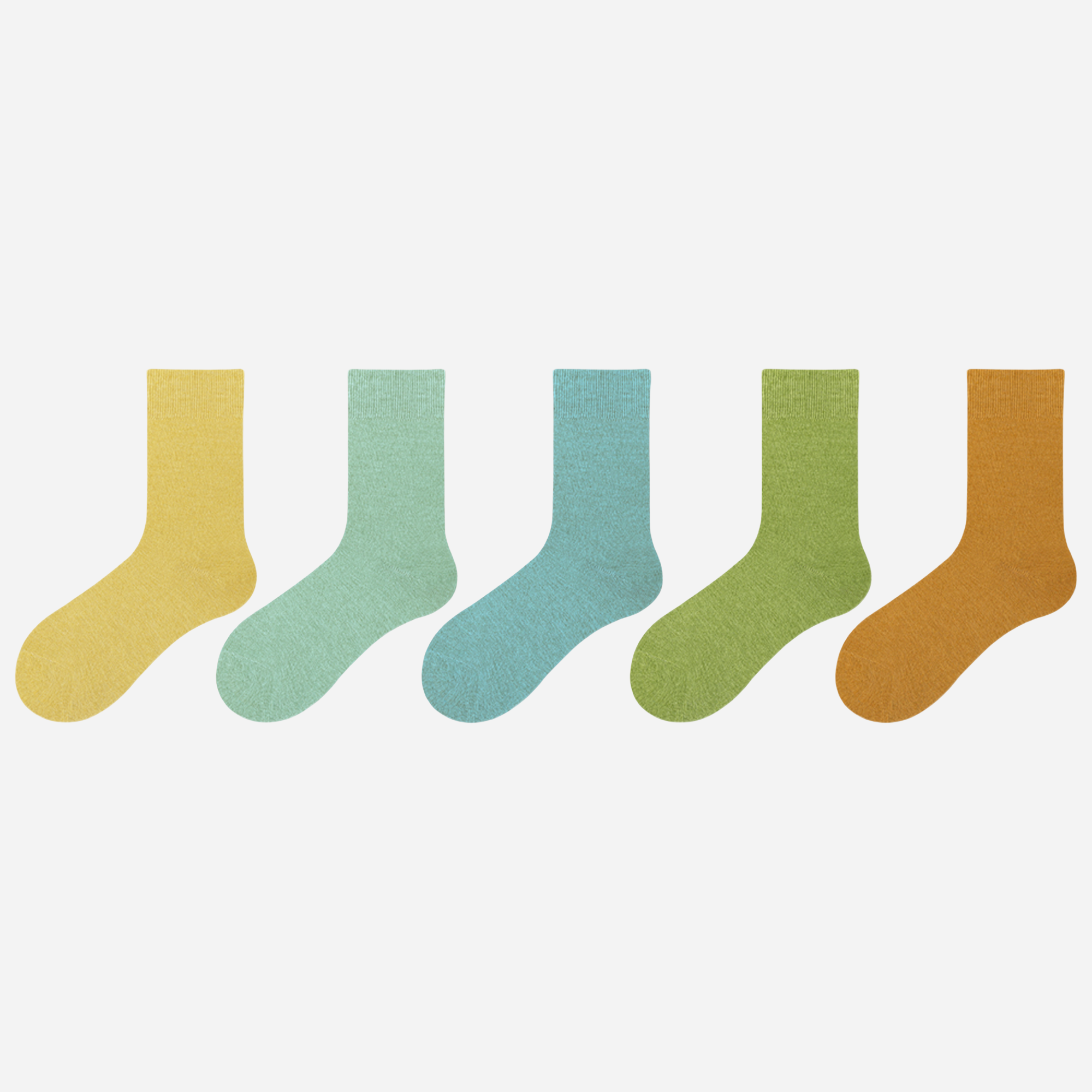 Women's The Modern Cotton Socks-5 Pack