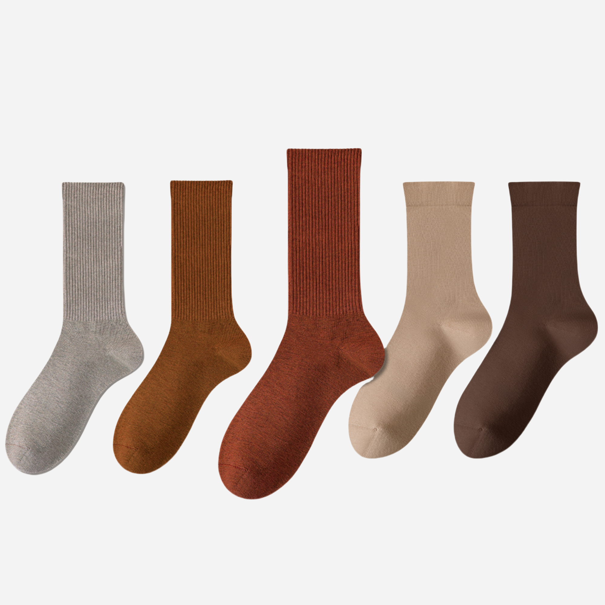 Women's The Modern Staples Socks-5 Pack