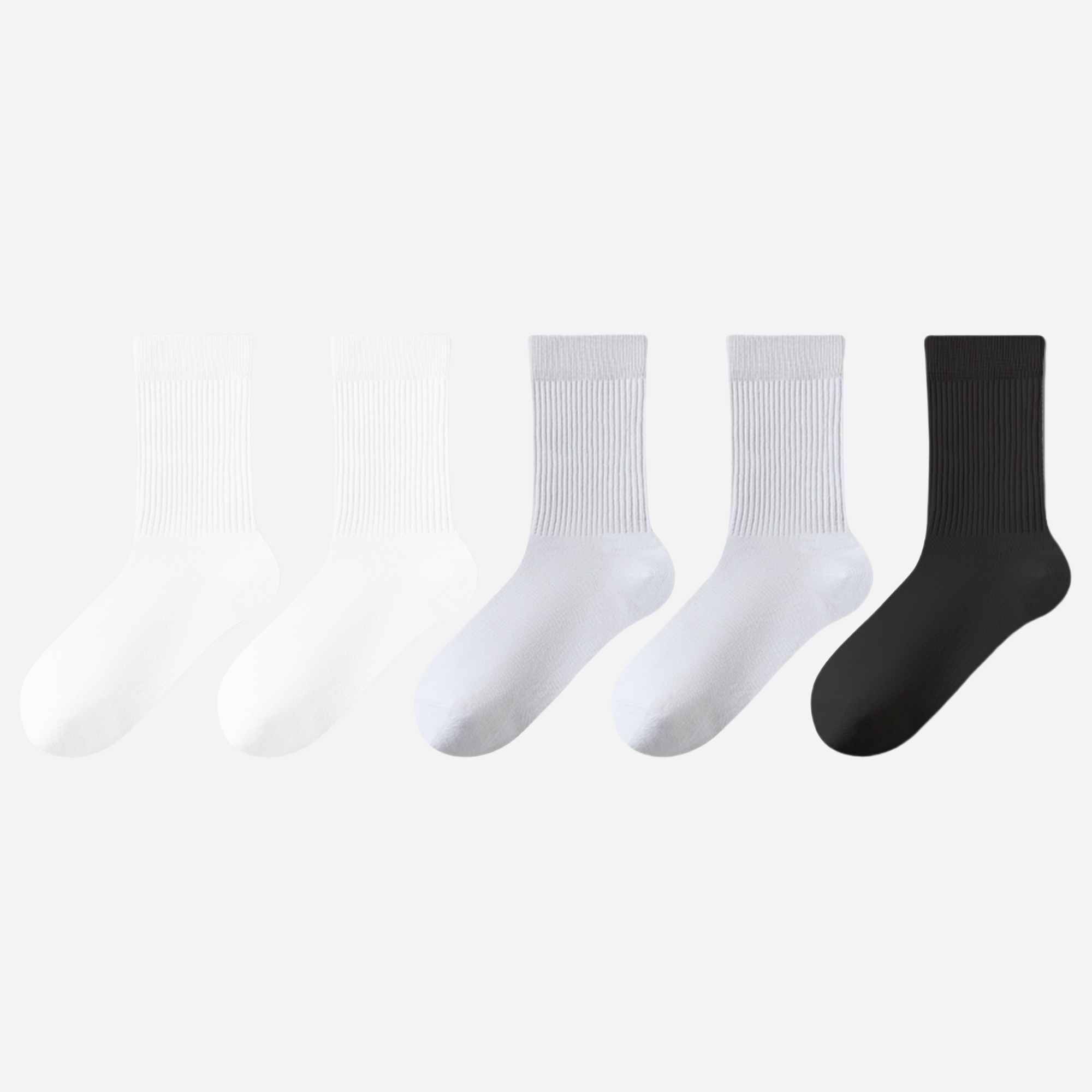 Women's Fresh Rib Crew Socks-5 Pack