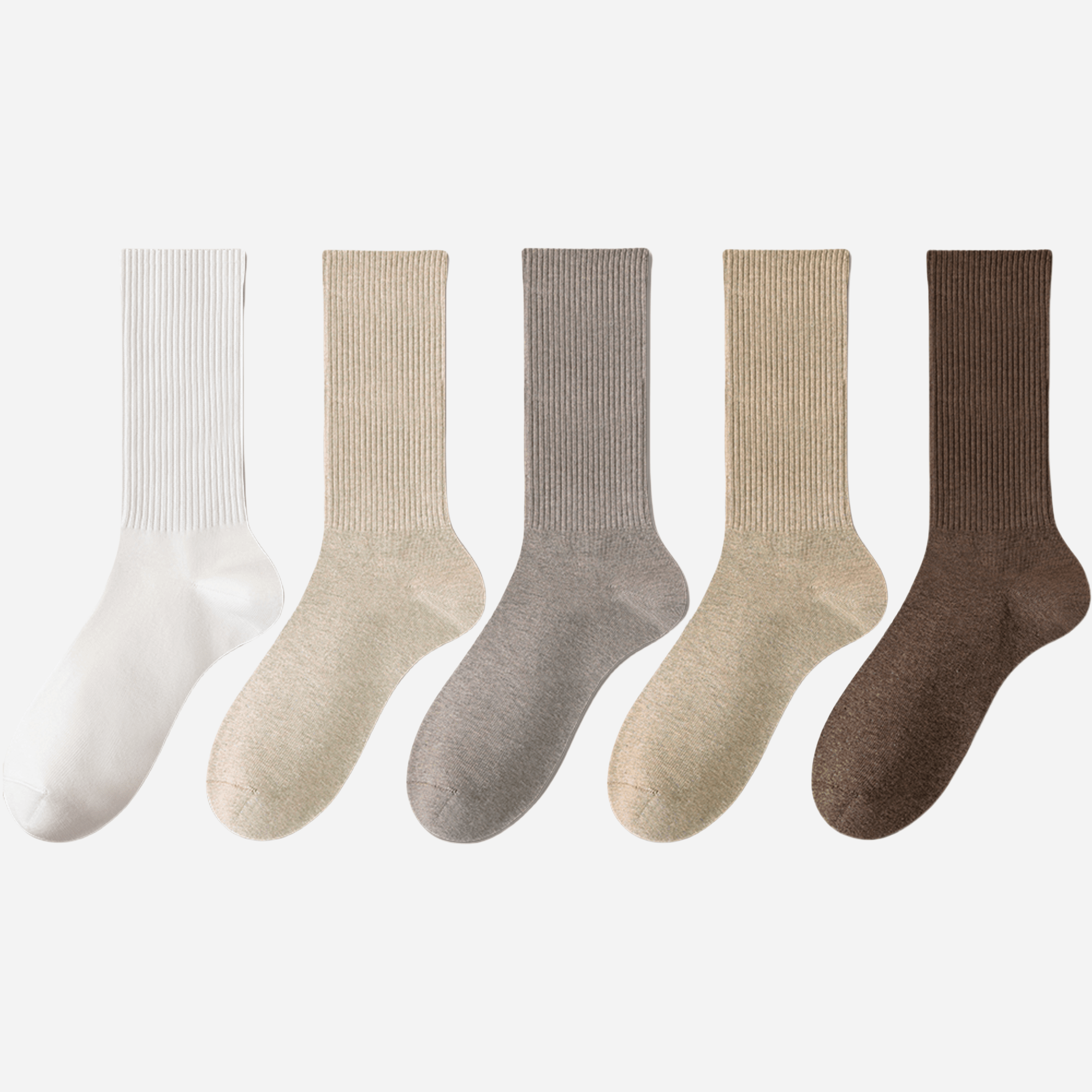 Women's Classic Cotton Ribbed Socks - 5 pairs