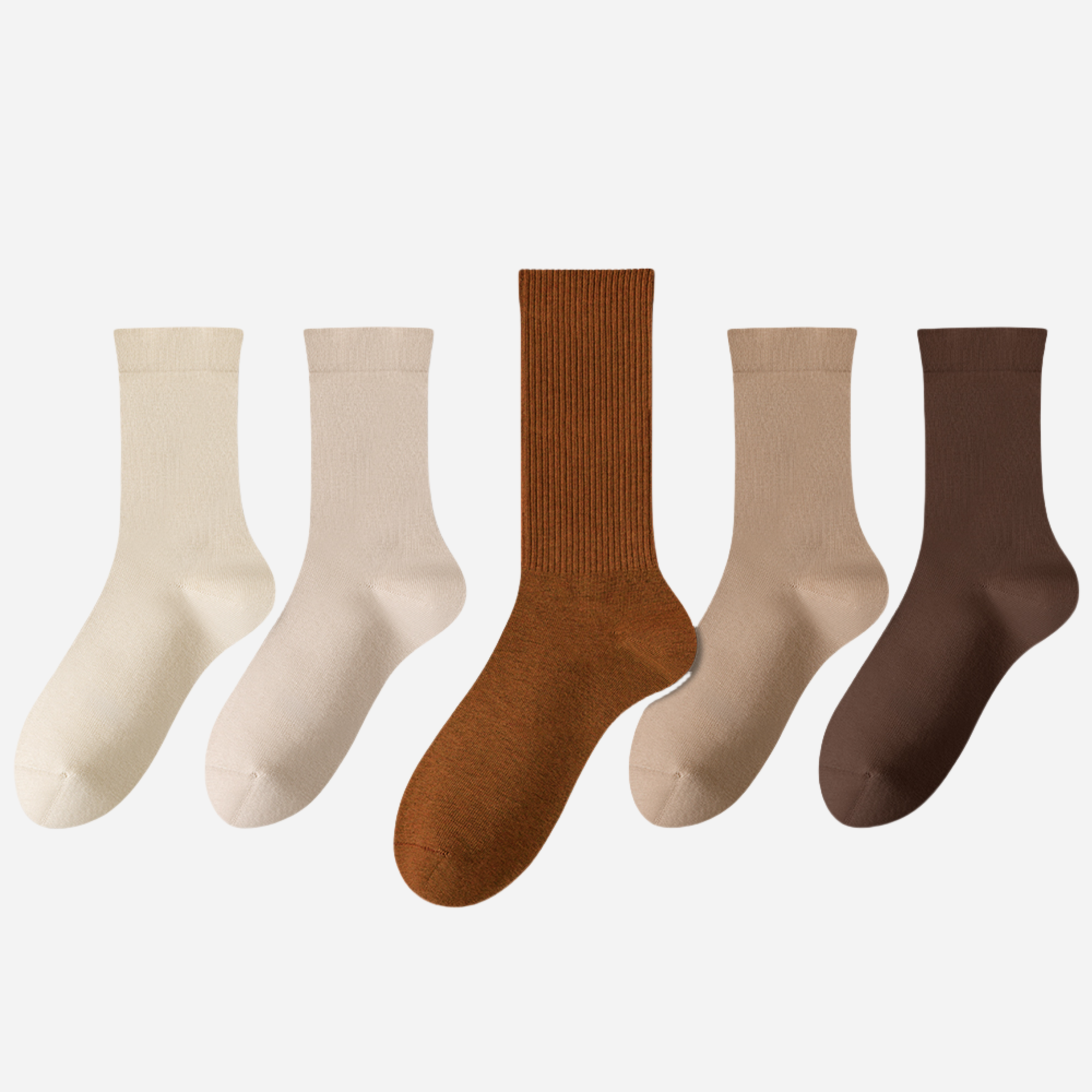 Women's The Modern Staples Socks-5 Pack