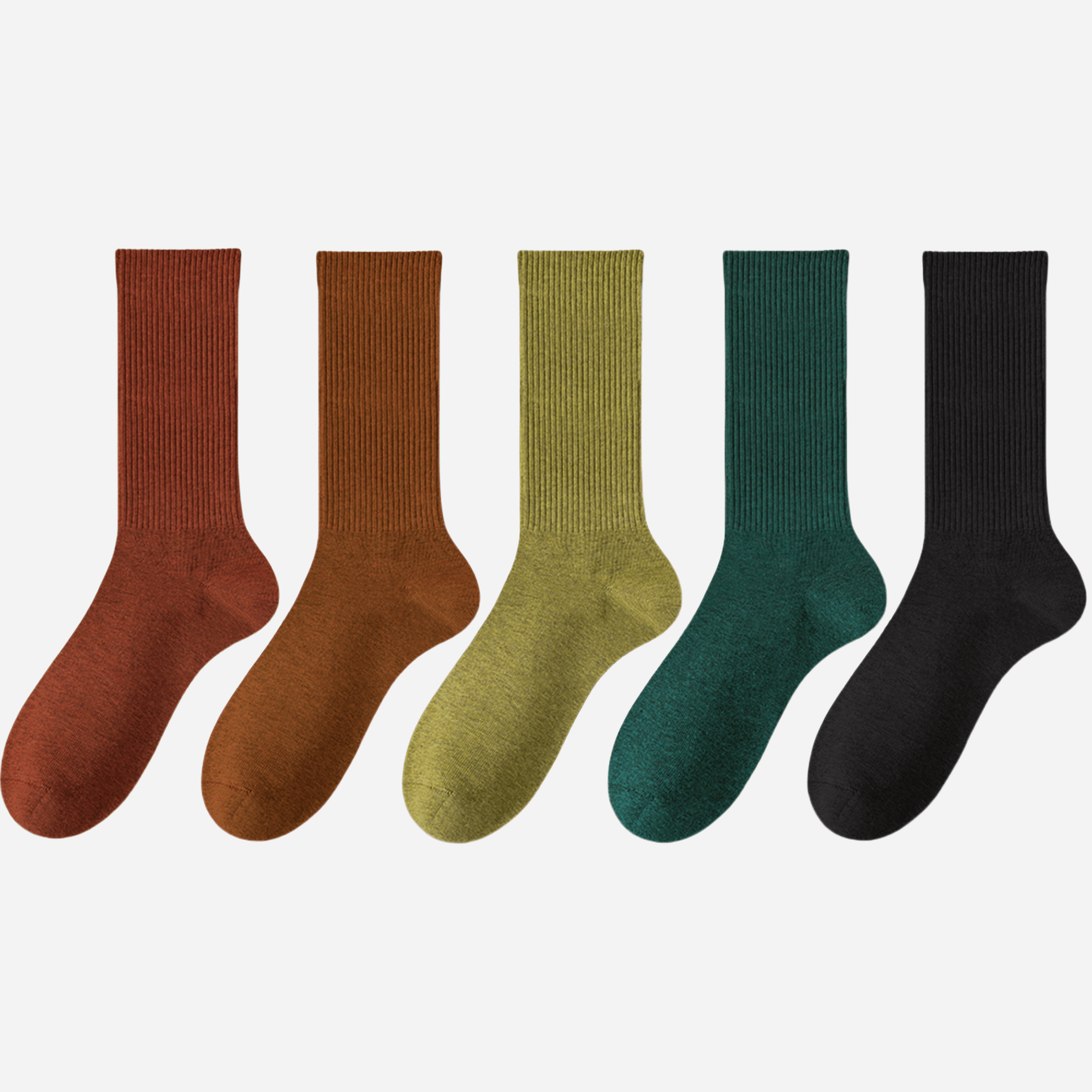 Women's Classic Cotton Ribbed Socks - 5 pairs