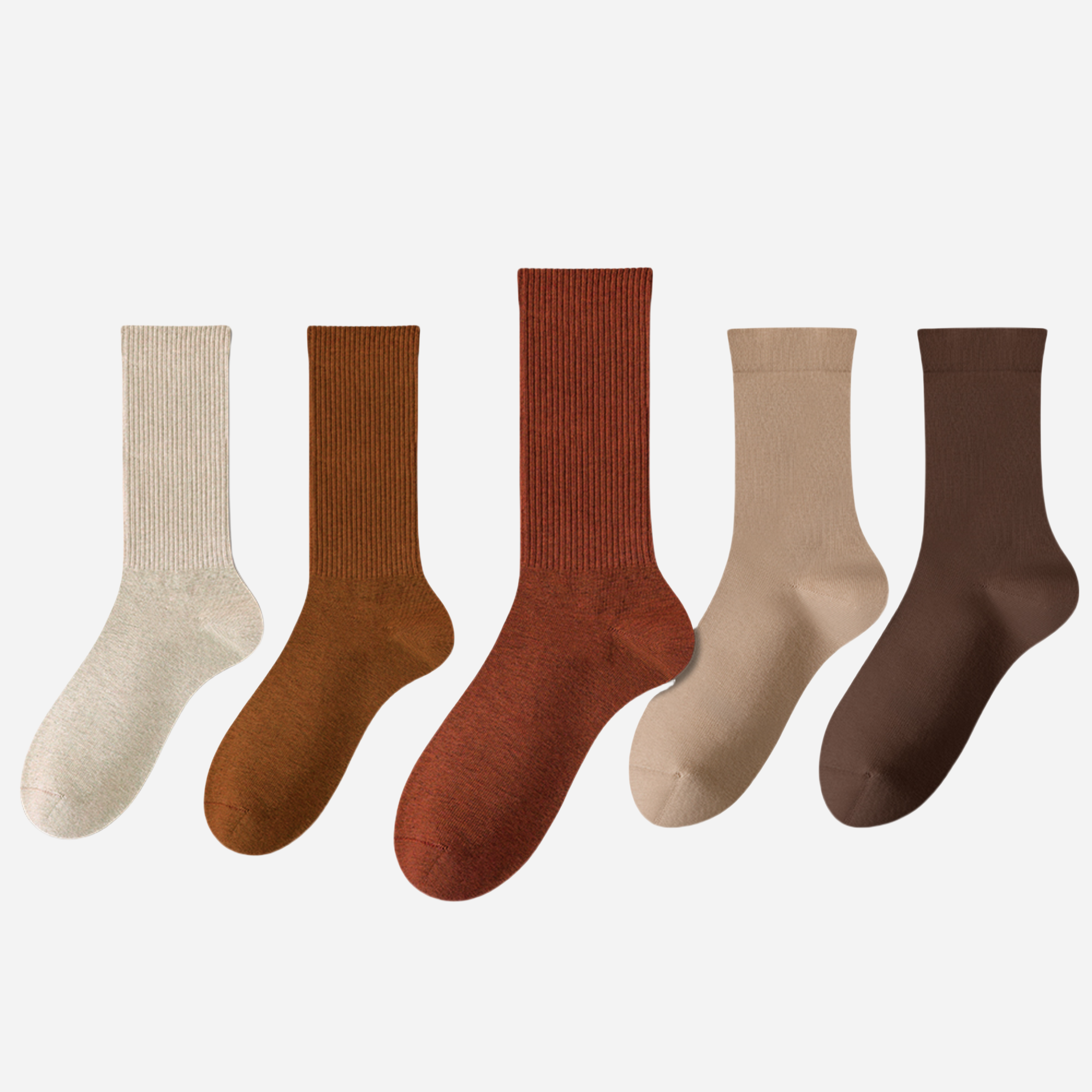 Women's The Modern Staples Socks-5 Pack