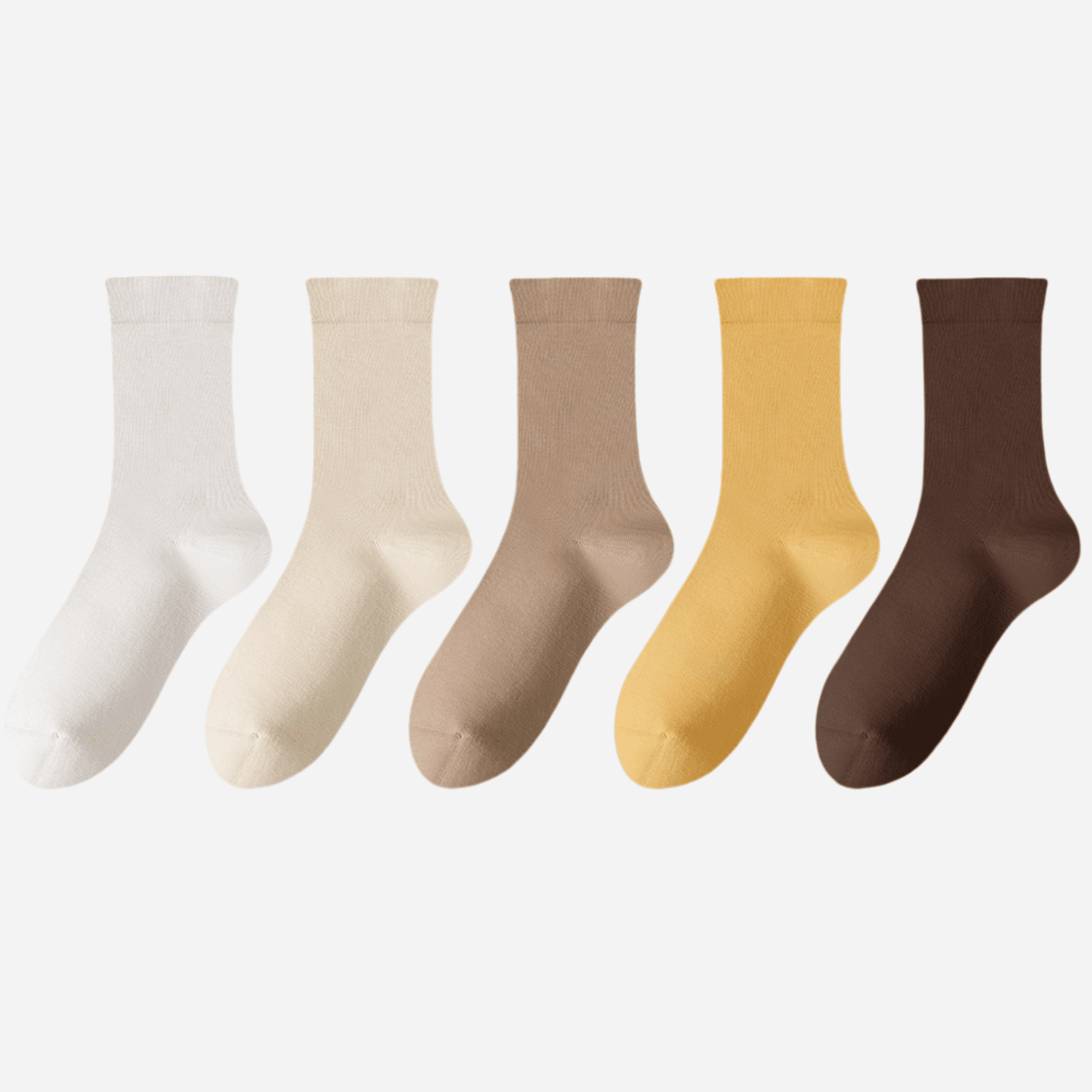 Women's Classic Solid Color Crew Socks - 5 Pairs
