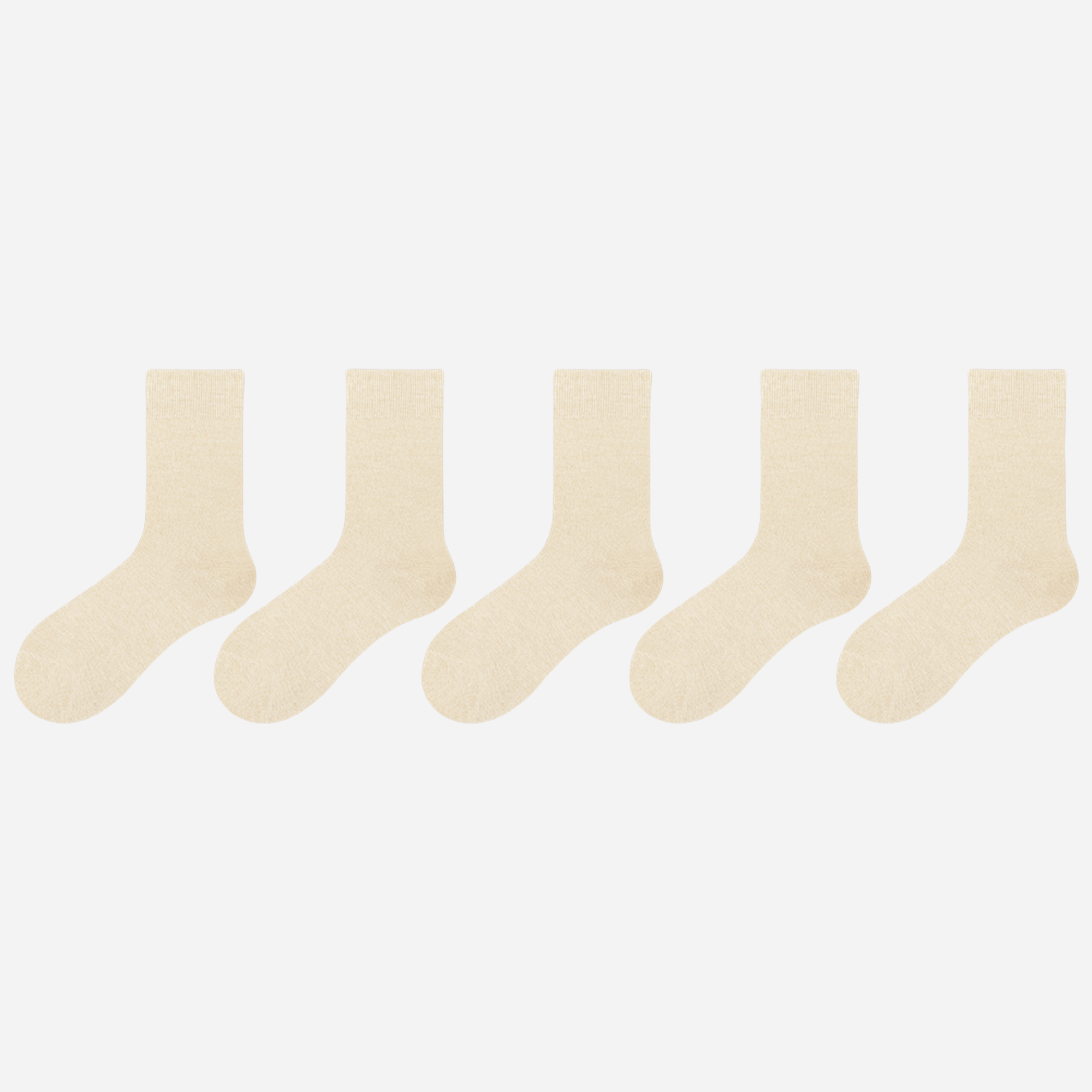 Women's The Modern Cotton Socks-5 Pack